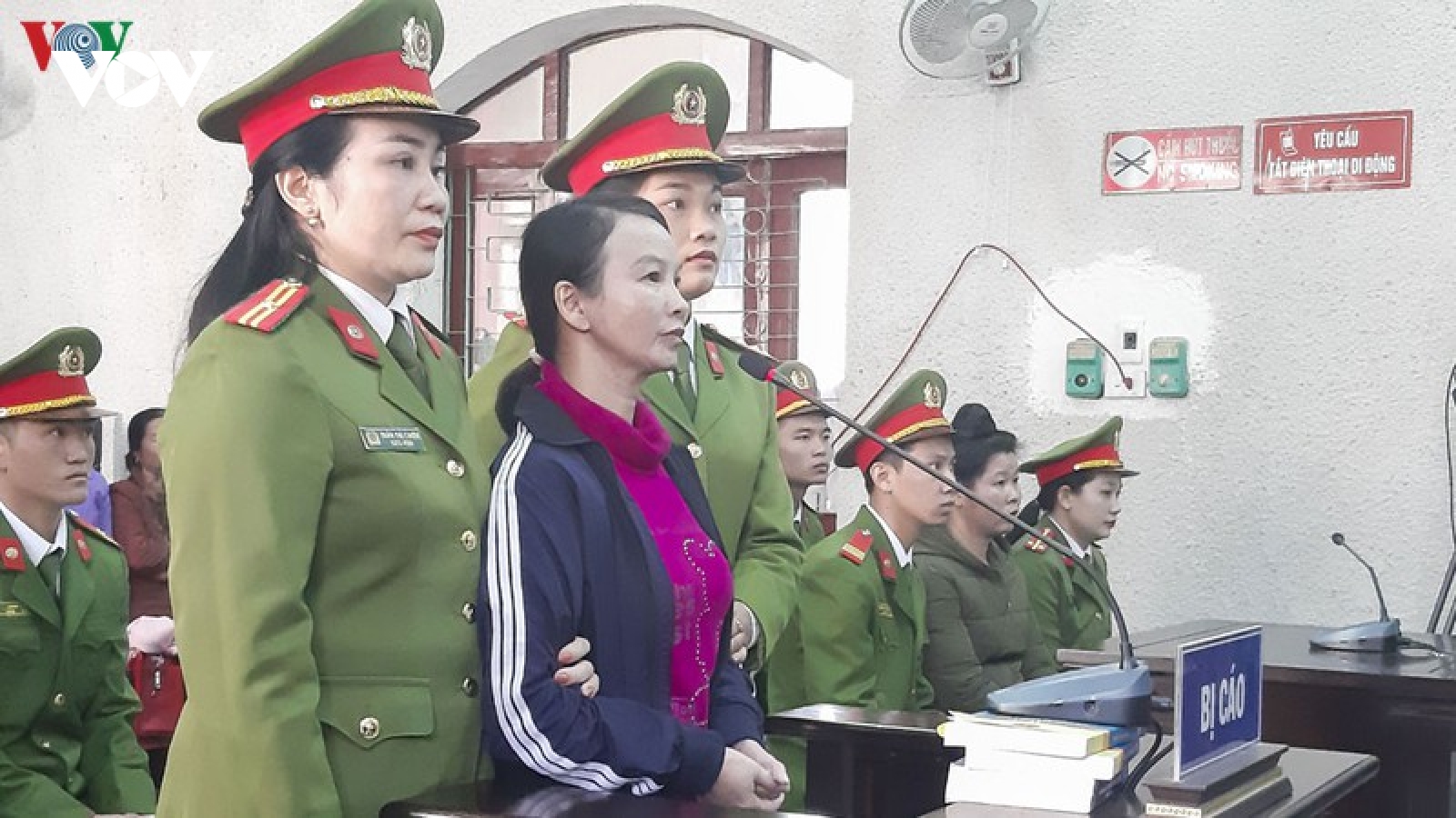 Xử phúc thẩm vụ buôn ma túy của mẹ nữ sinh giao gà vào ngày 15/6