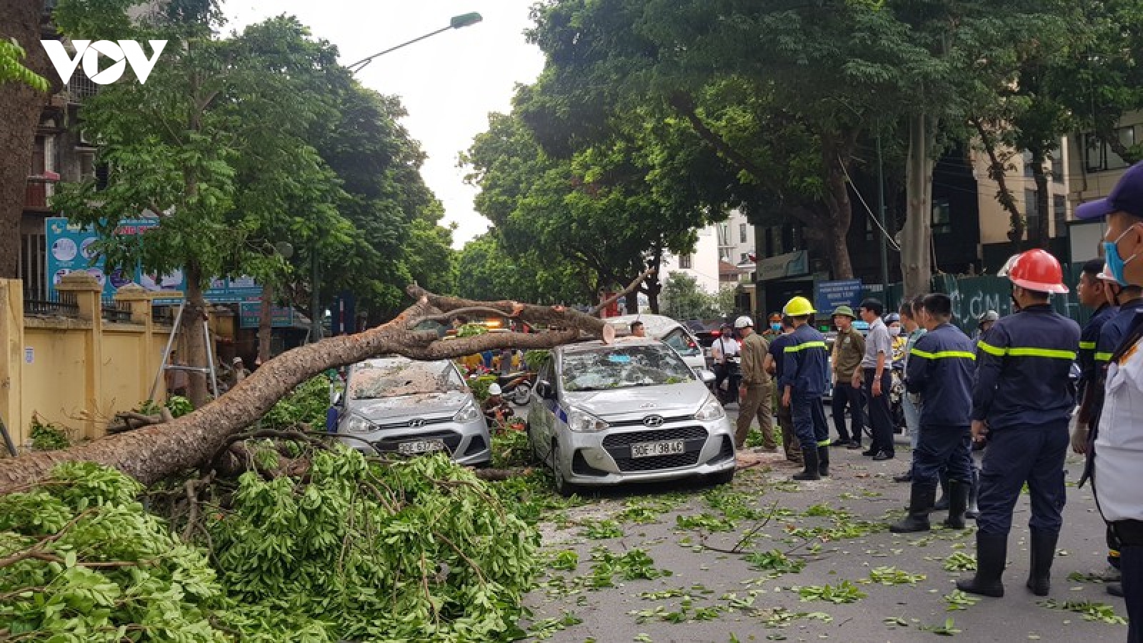 Cây cổ thụ đổ đè 3 ô tô cạnh cổng Bệnh viện 108 Hà Nội