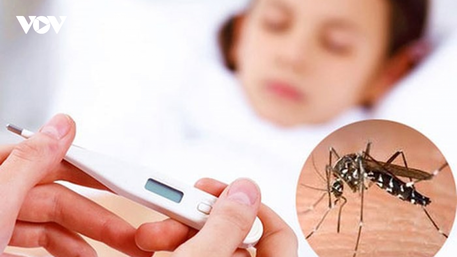 Lào tập trung nguồn lực ngăn chặn bệnh sốt xuất huyết