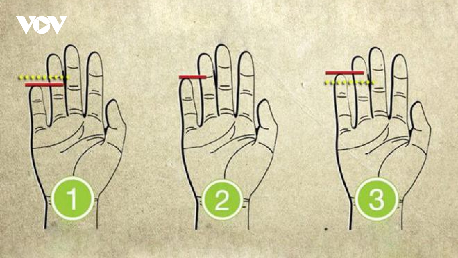 Chiều dài ngón tay út tiết lộ bí mật gì về nội tâm của bạn?