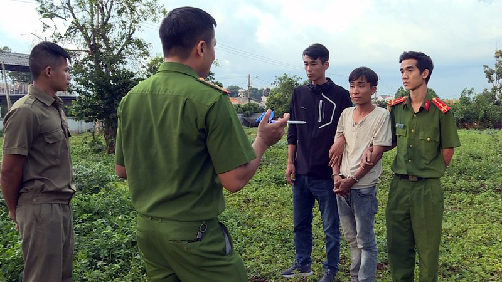 Trộm cặp bò giống ở Khánh Hòa mang lên Đắk Lắk tiêu thụ