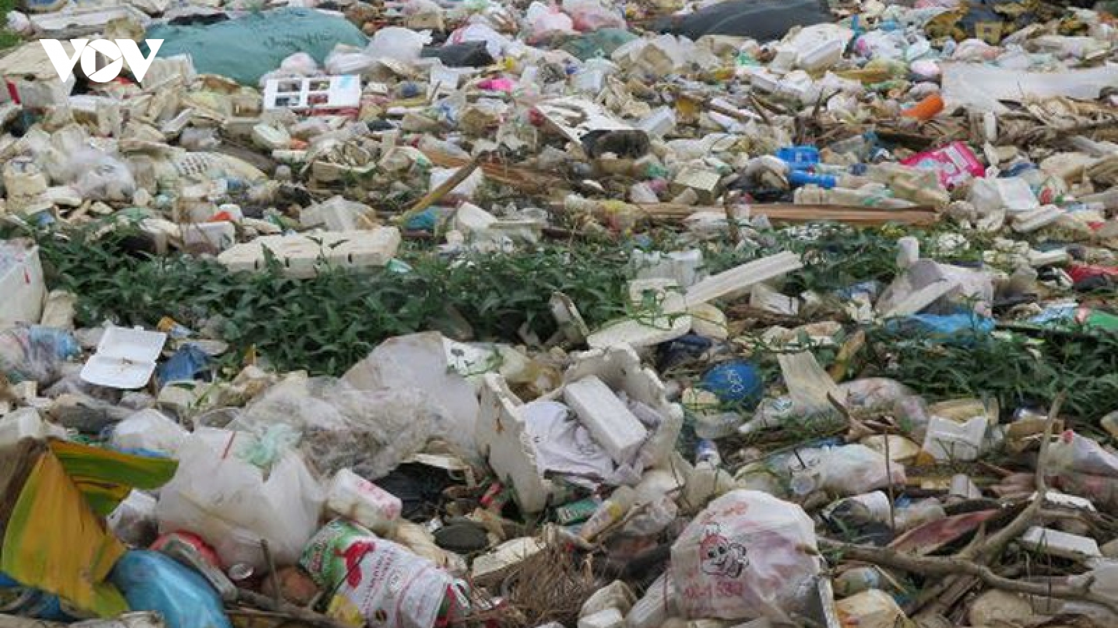 Chuyện rác thải ở Quảng Ngãi và lời hứa với dân