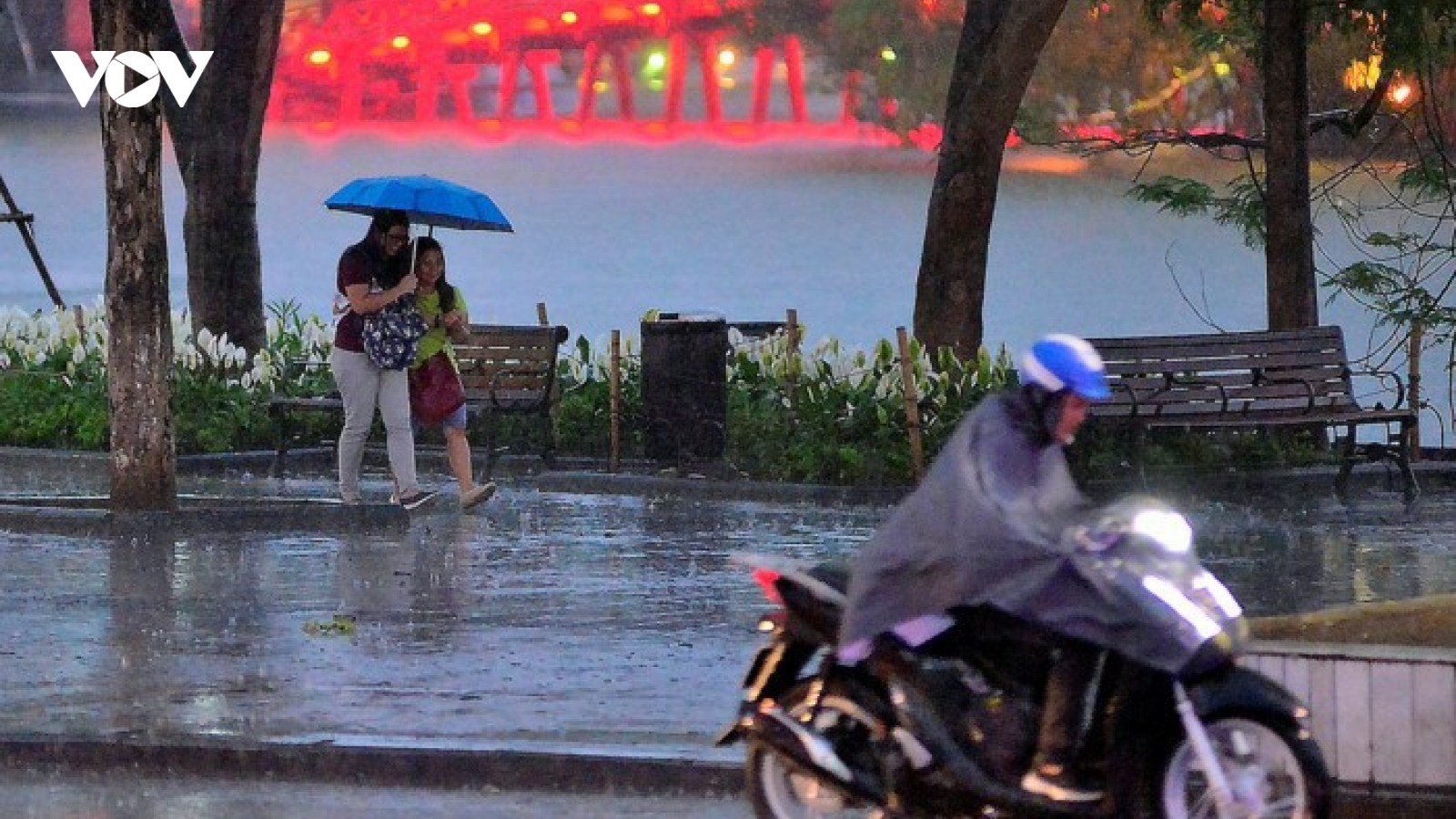 Dự báo thời tiết hôm nay: Áp thấp nhiệt đới gây mưa lớn ở nhiều nơi