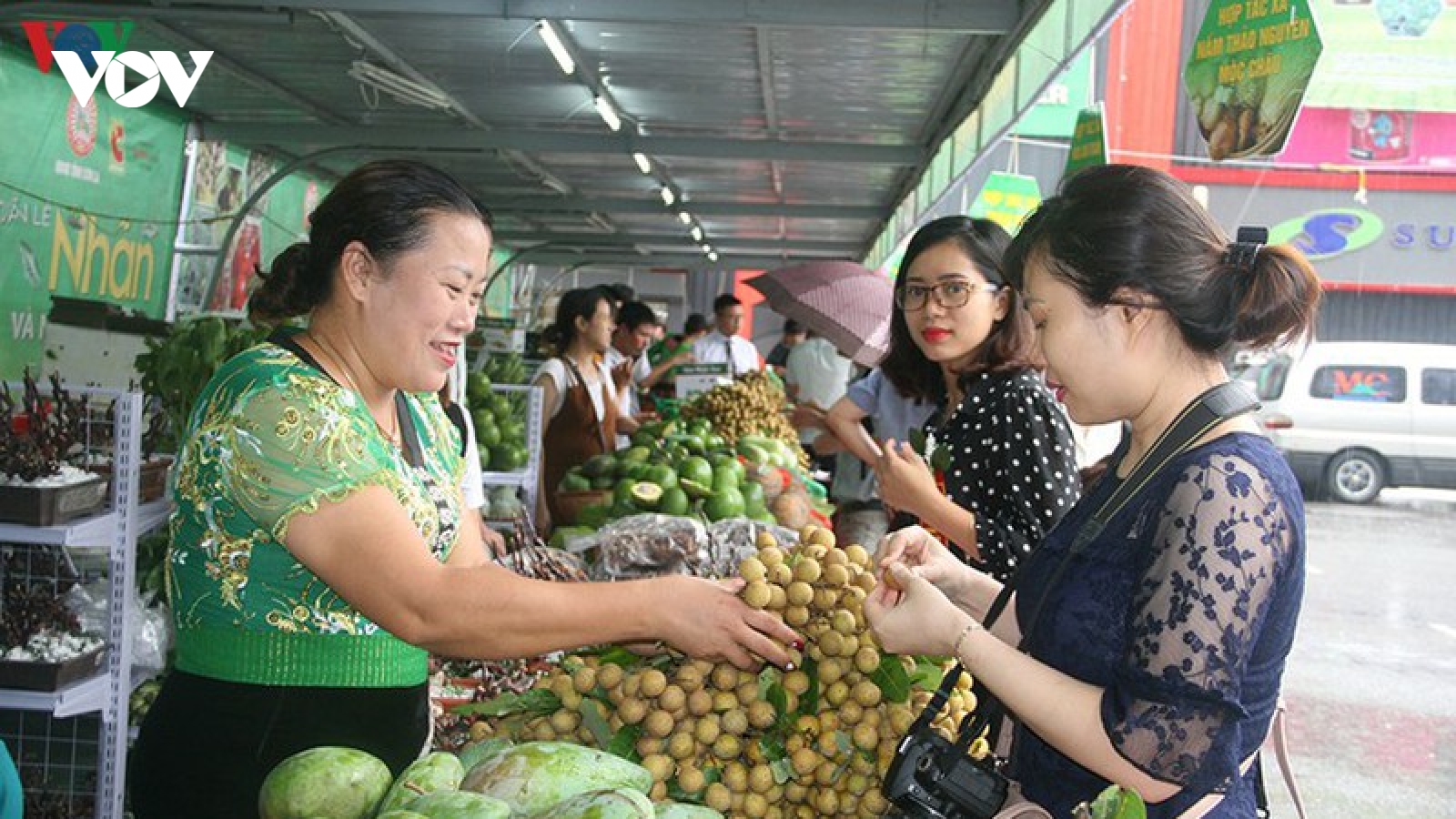 Gần 30 tấn nhãn huyện Sông Mã xuất khẩu chính ngạch sang Trung Quốc