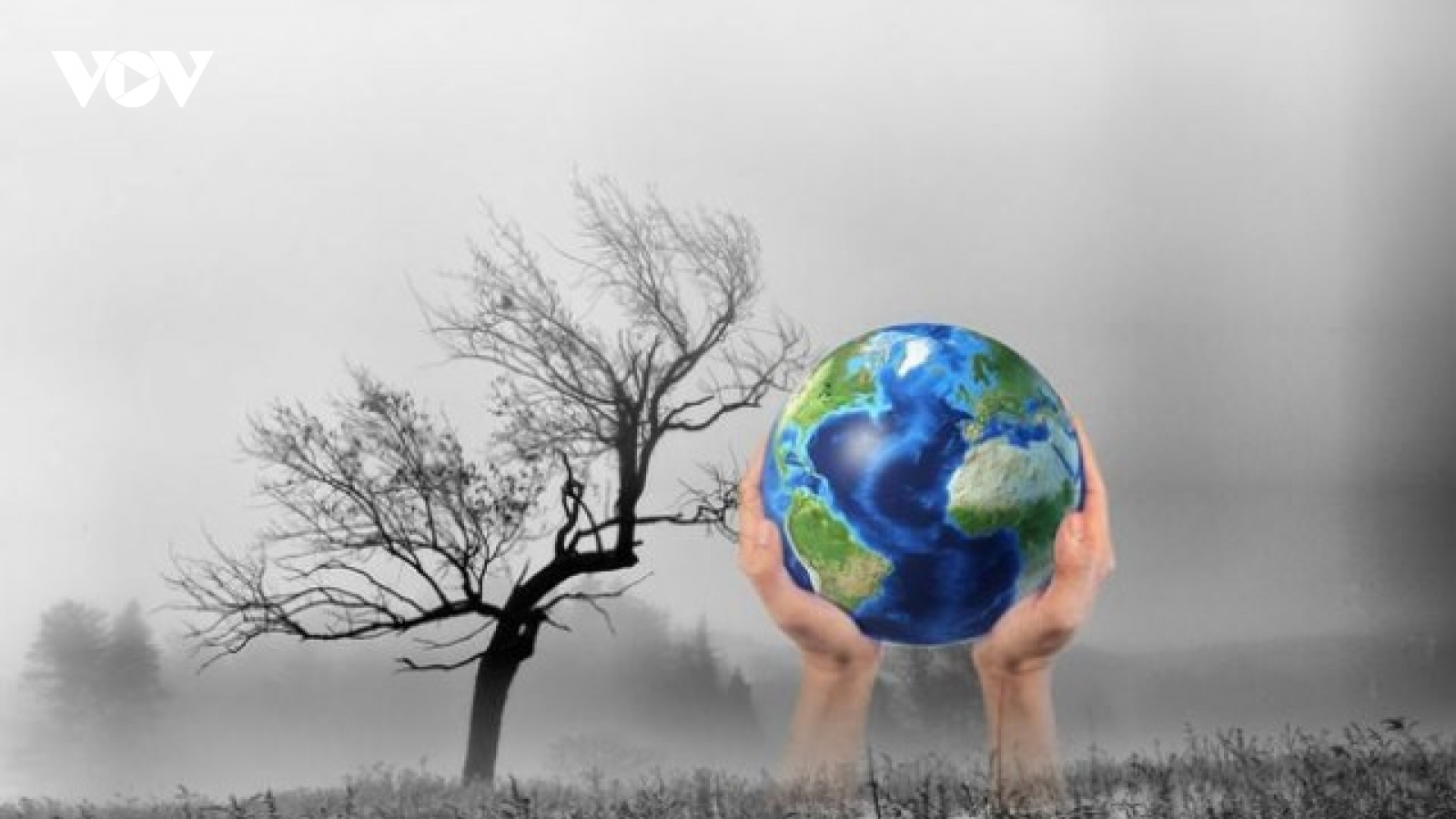 Đến năm 2030, Việt Nam sẽ giảm 9% tổng lượng phát thải khí nhà kính