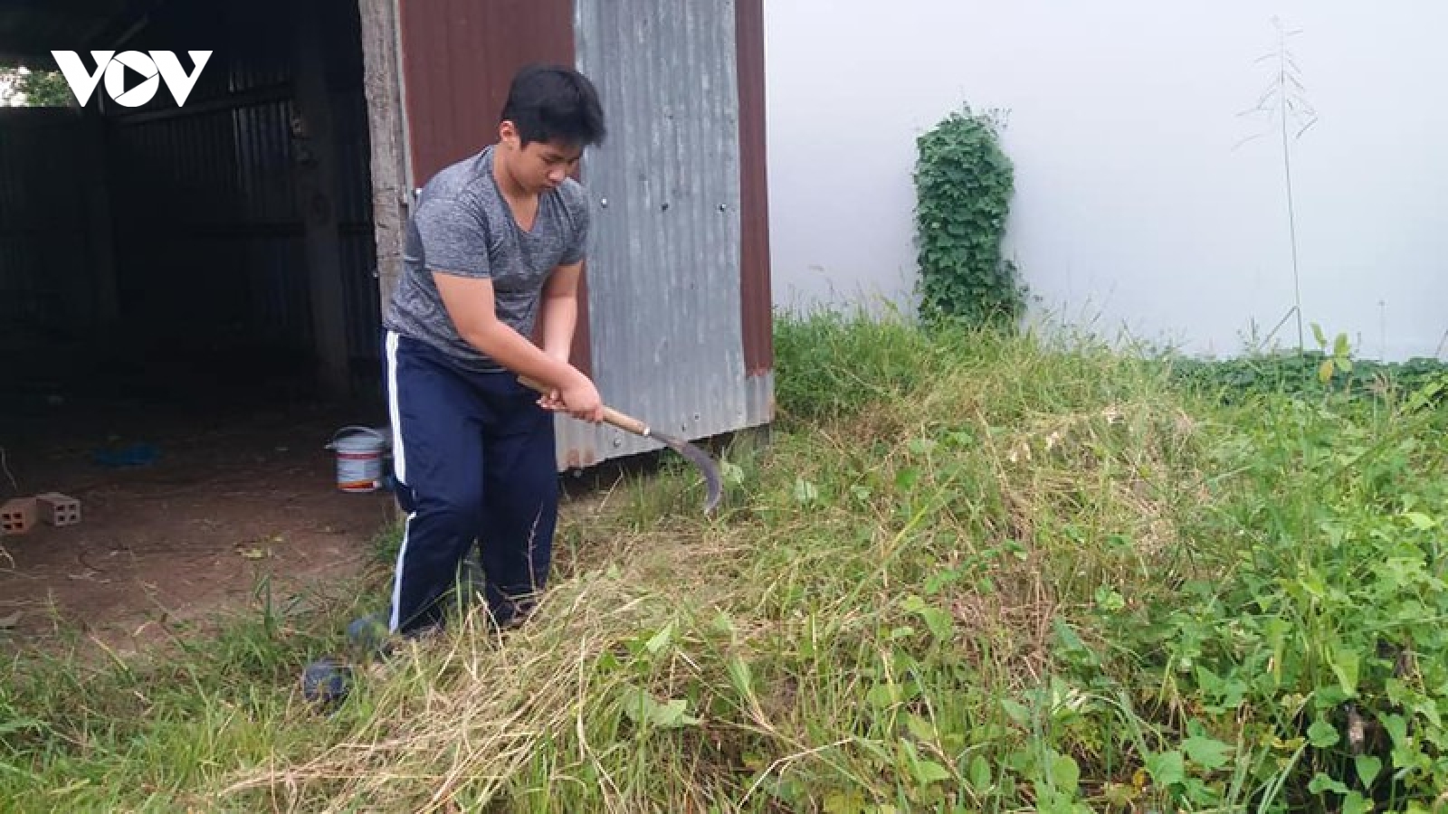 Cảnh báo nguy cơ gia tăng bệnh sốt xuất huyết tại Tiền Giang