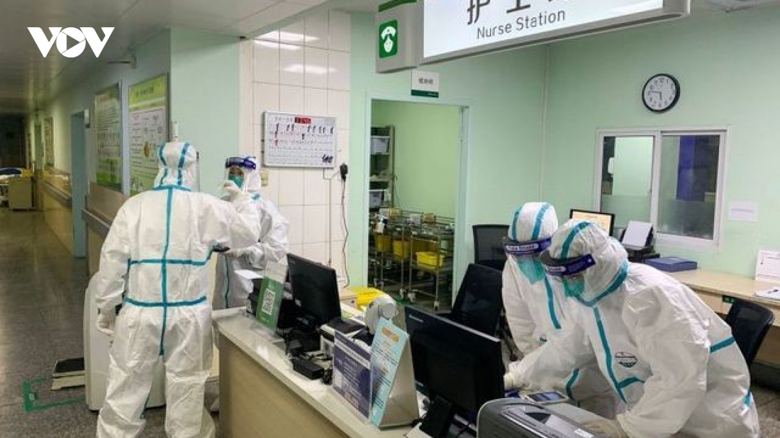 "Người dơi" Trung Quốc phủ nhận SARS-CoV-2 bắt nguồn từ Vũ Hán
