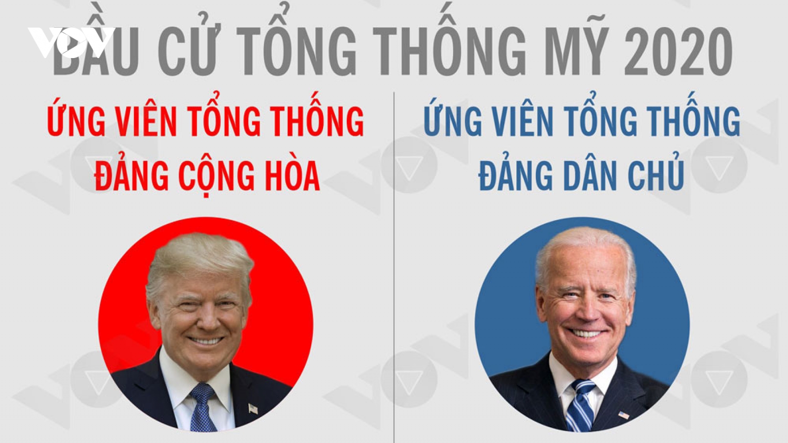 Infographic: Bầu cử Tổng thống Mỹ 2020 đến hồi gay cấn