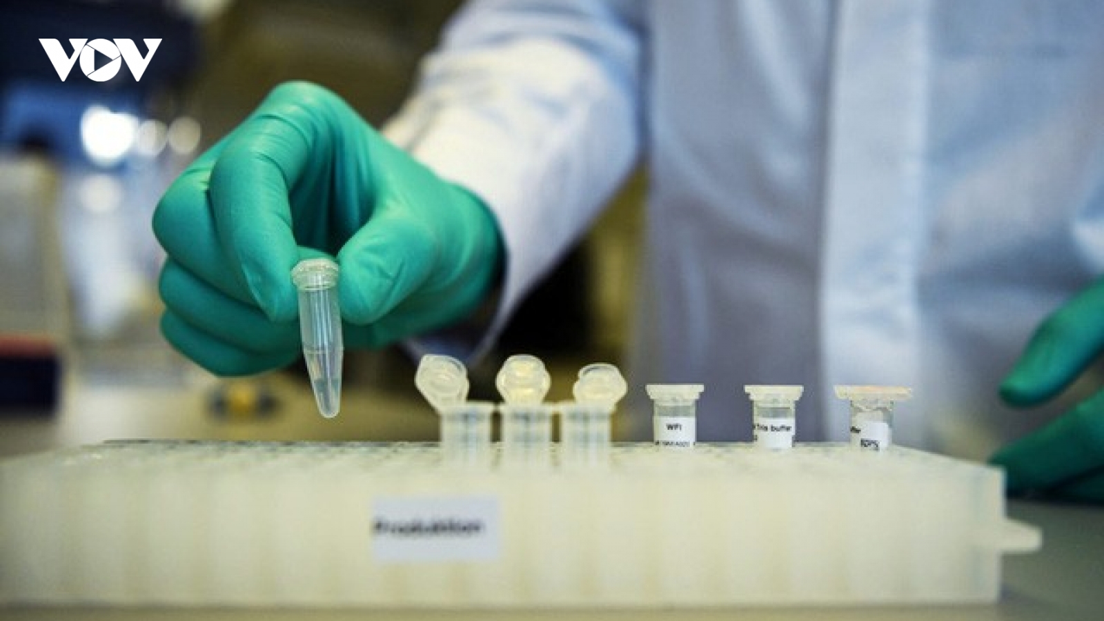 Mỹ có thể cấp phép vaccine trước khi giai đoạn thử nghiệm 3 hoàn thành