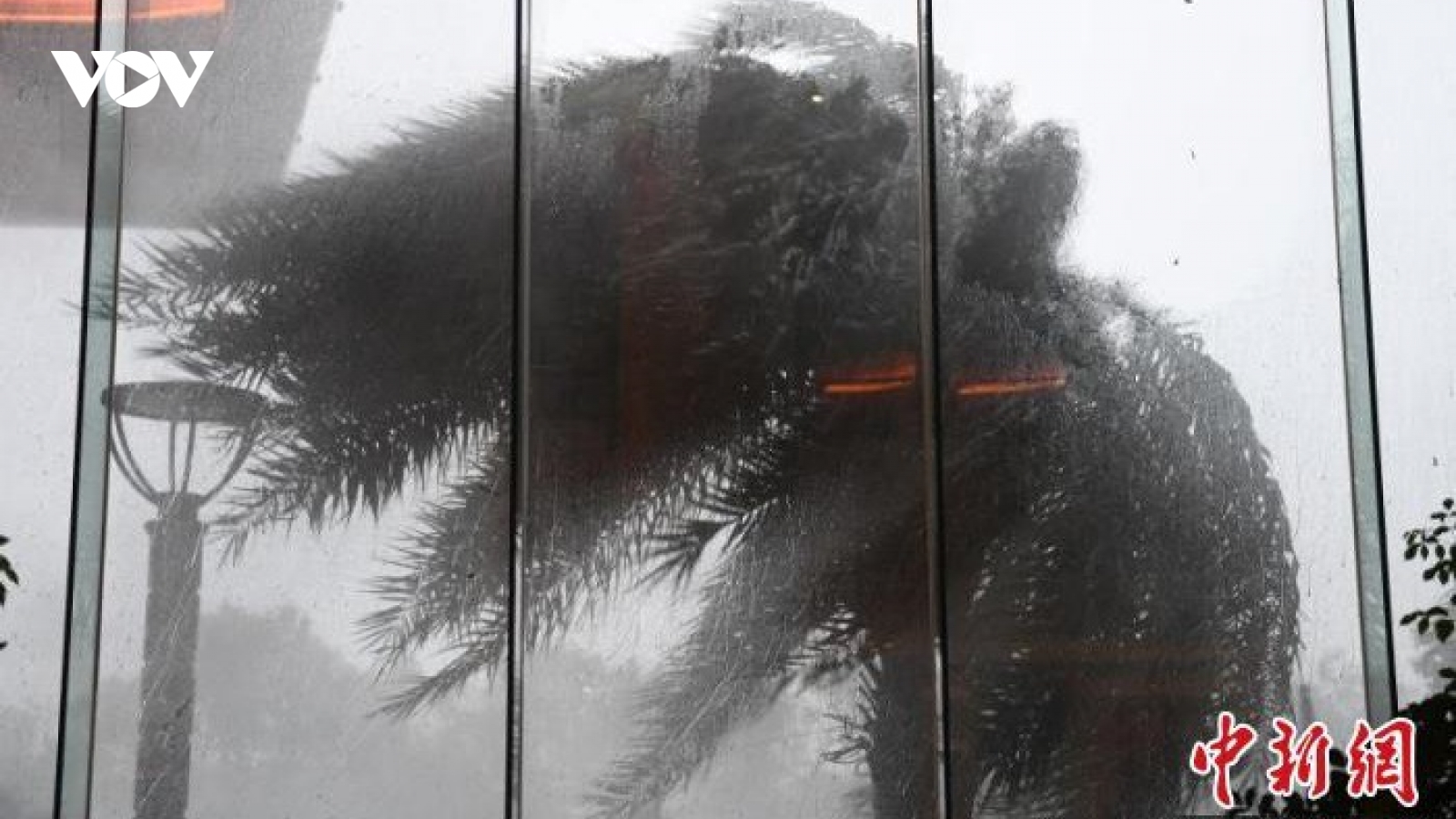 Bão Hagupit đổ bộ Trung Quốc, nhiều nơi báo động đỏ về thiên tai địa chất