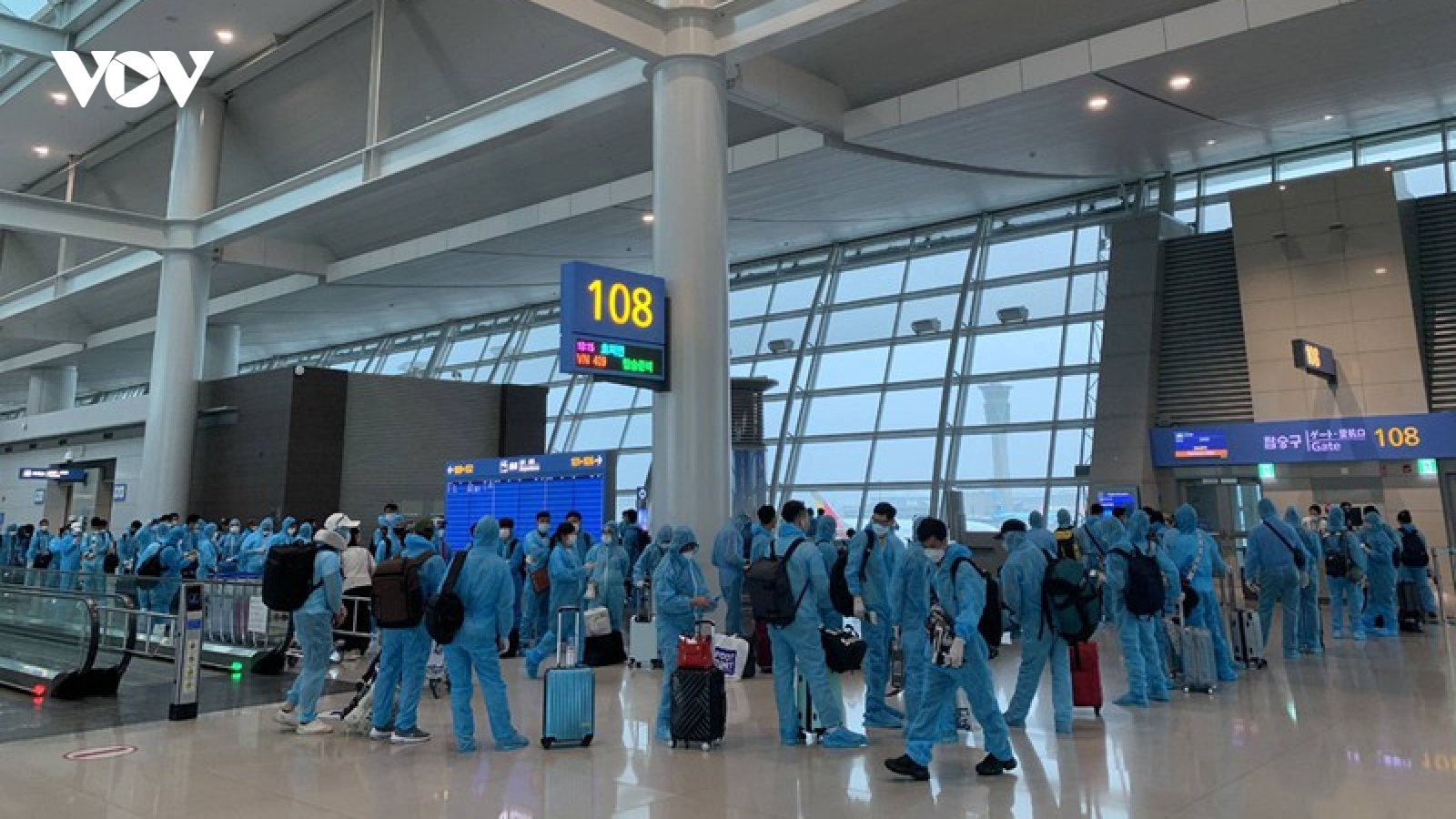Đưa 313 công dân Việt Nam từ Hàn Quốc về nước an toàn