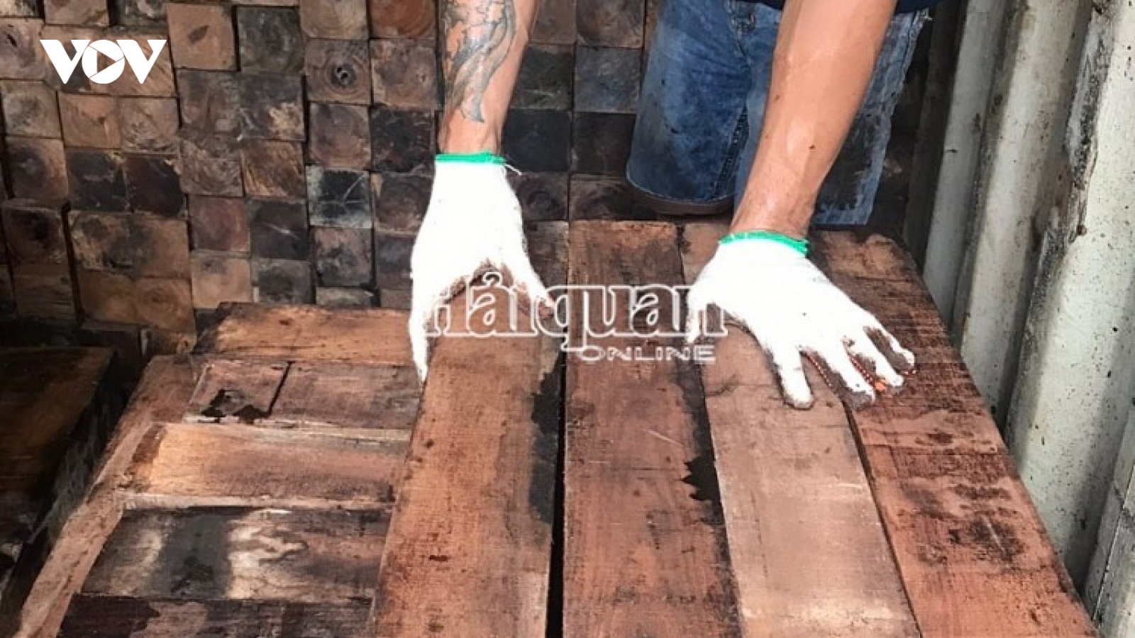 Khám xét 60 container gỗ quý nhập lậu, ước trị giá khoảng 20 tỷ đồng