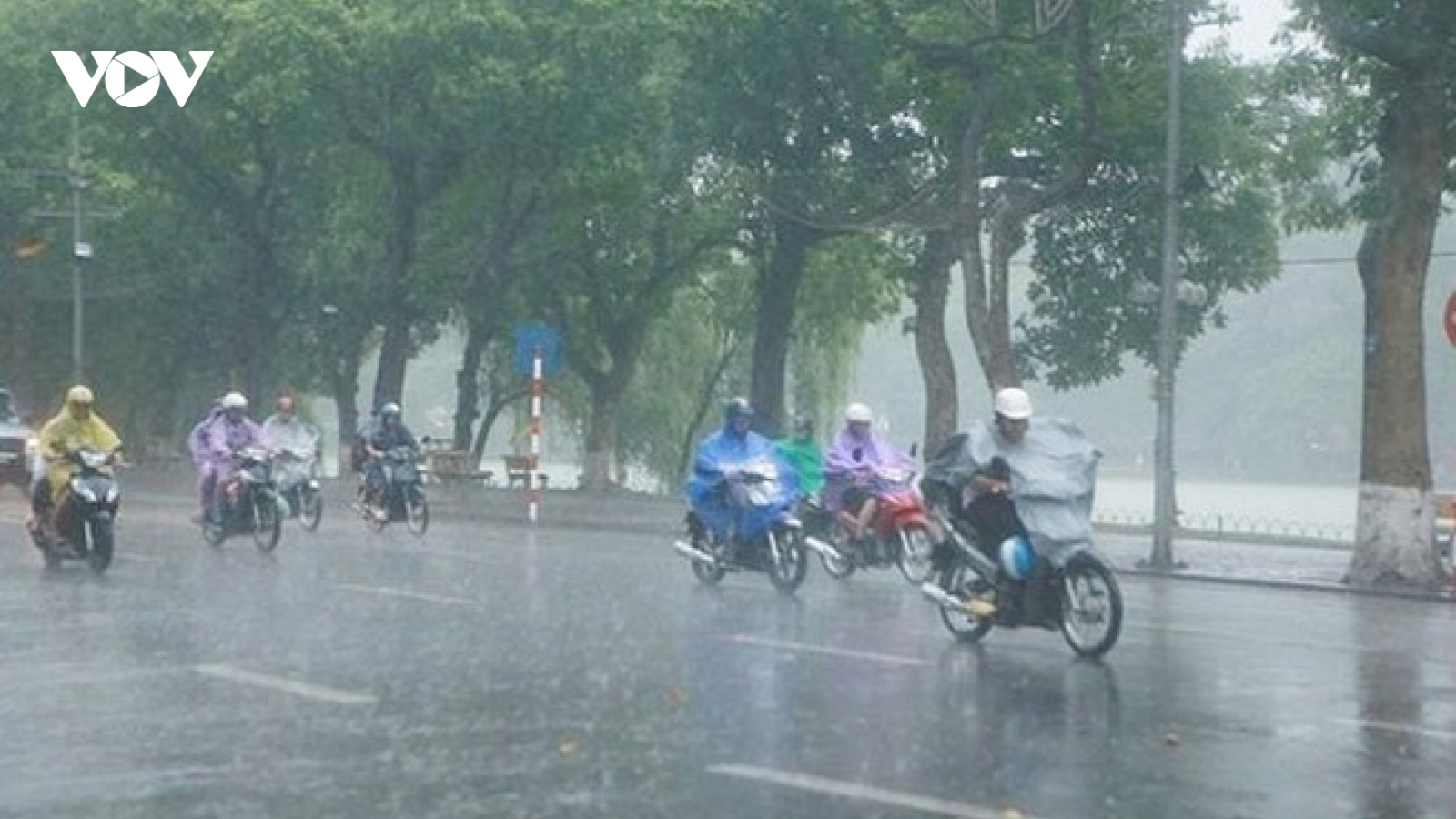 Thời tiết ngày 13/8, miền Bắc có mưa to trên diện rộng