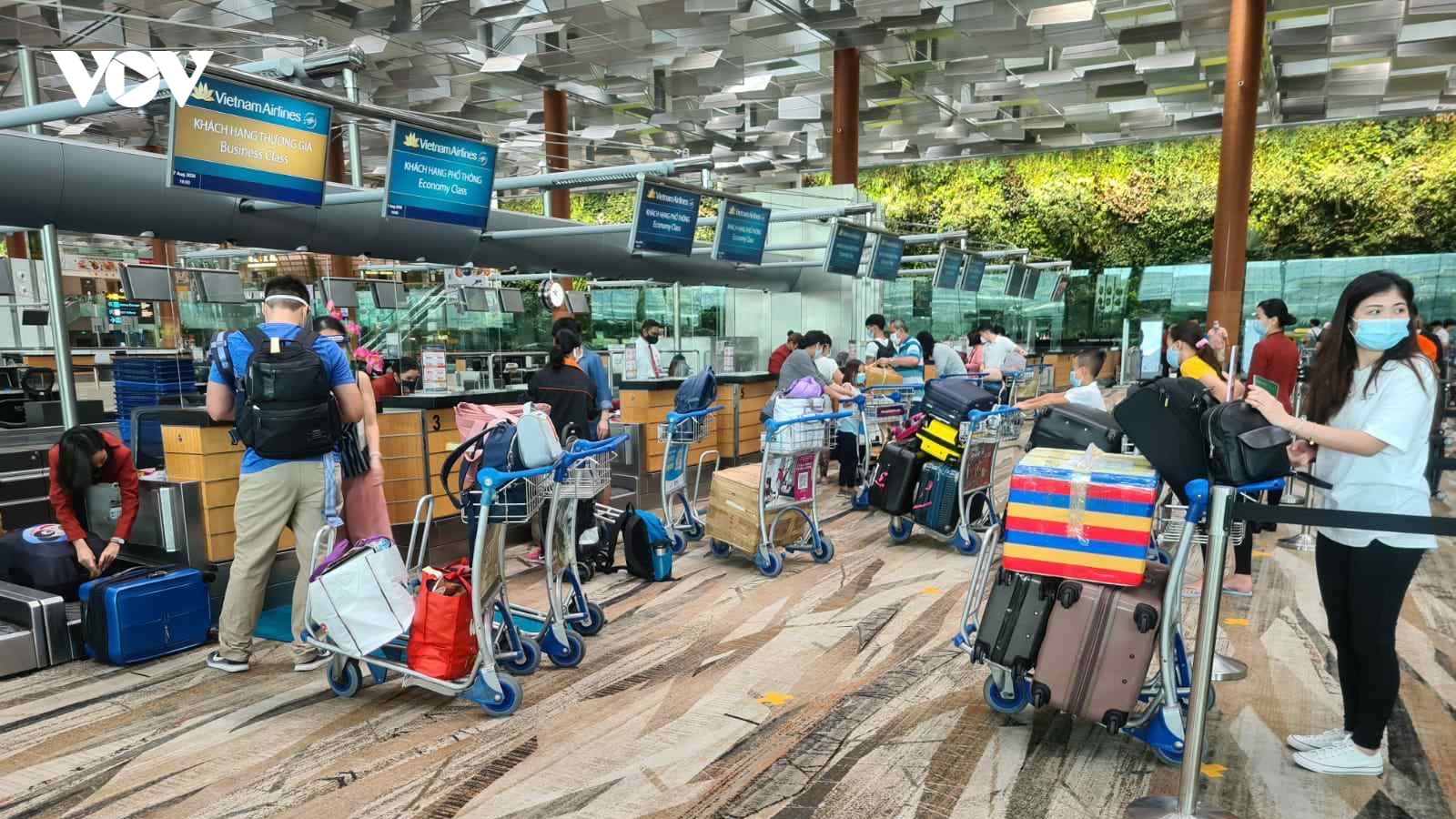 Hơn 300 công dân Việt Nam được đưa từ Singapore về nước an toàn