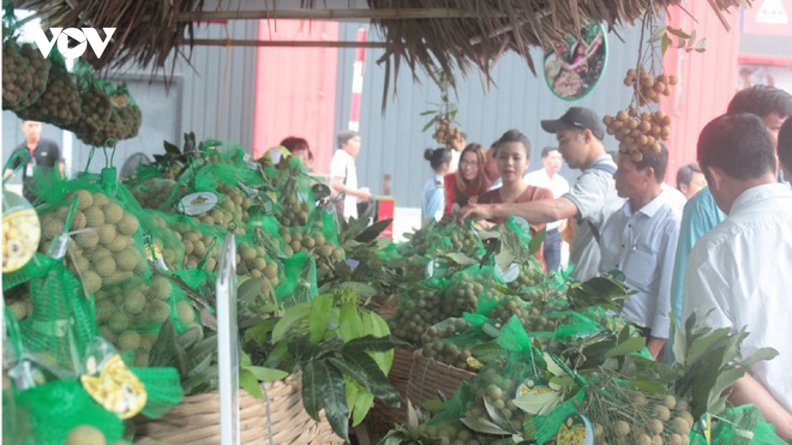 Vì sao Trung Quốc dừng mua long nhãn của 3 doanh nghiệp Hưng Yên?