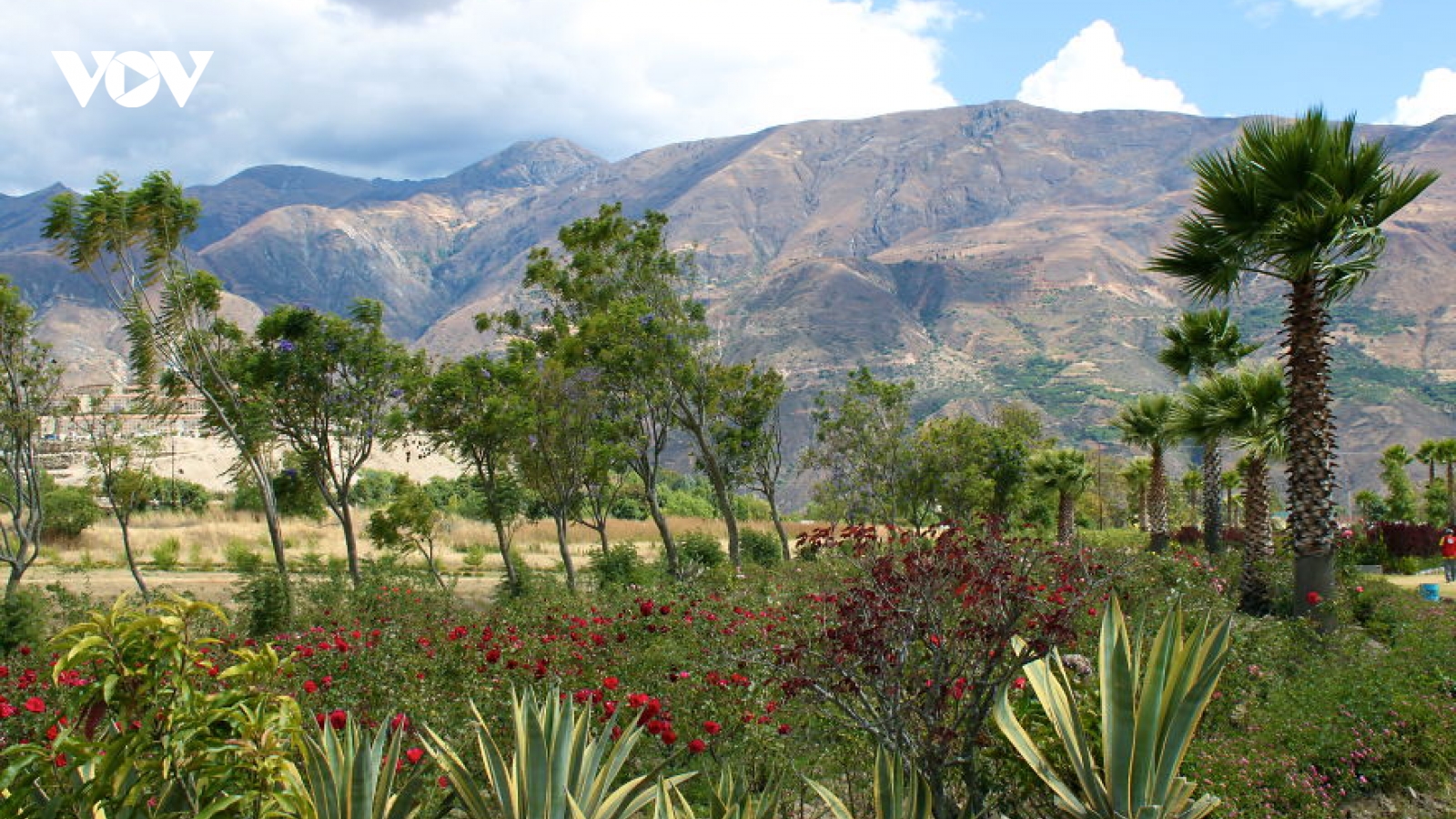 Vẻ đẹp kỳ bí và buồn thảm của Yungay - thị trấn bị chôn vùi ở Peru