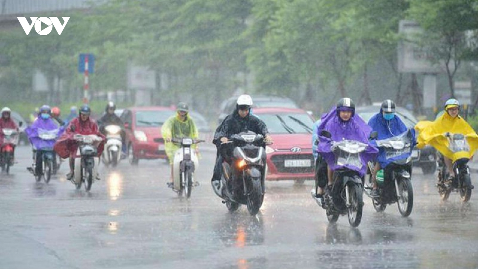 Thời tiết hôm nay (21/8): Hà Nội và các tỉnh miền Bắc tiếp tục có mưa to
