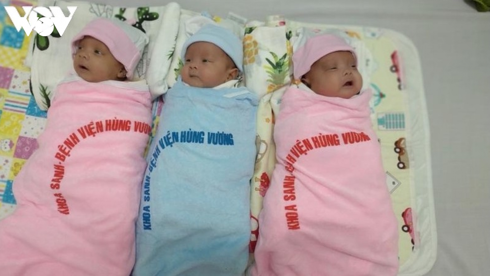 91 ngày nuôi sống 3 bé tí hon được mẹ sinh non