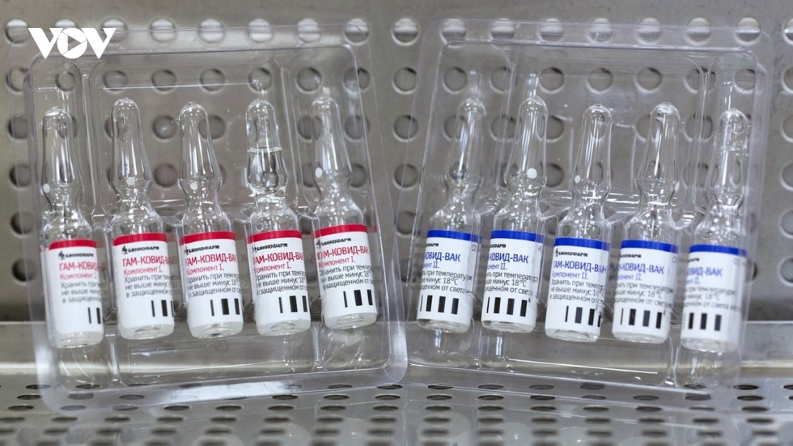 Vaccine ngừa Covid-19 của Nga có hiệu quả miễn dịch ít nhất 2 năm