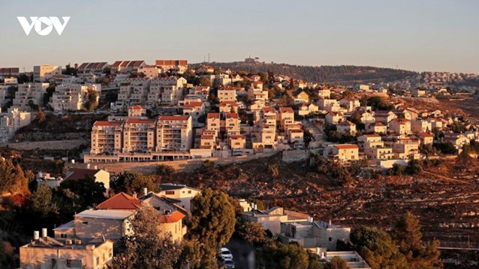 EU hoan nghênh quyết định của Israel đình chỉ kế hoạch sáp nhập Bờ Tây