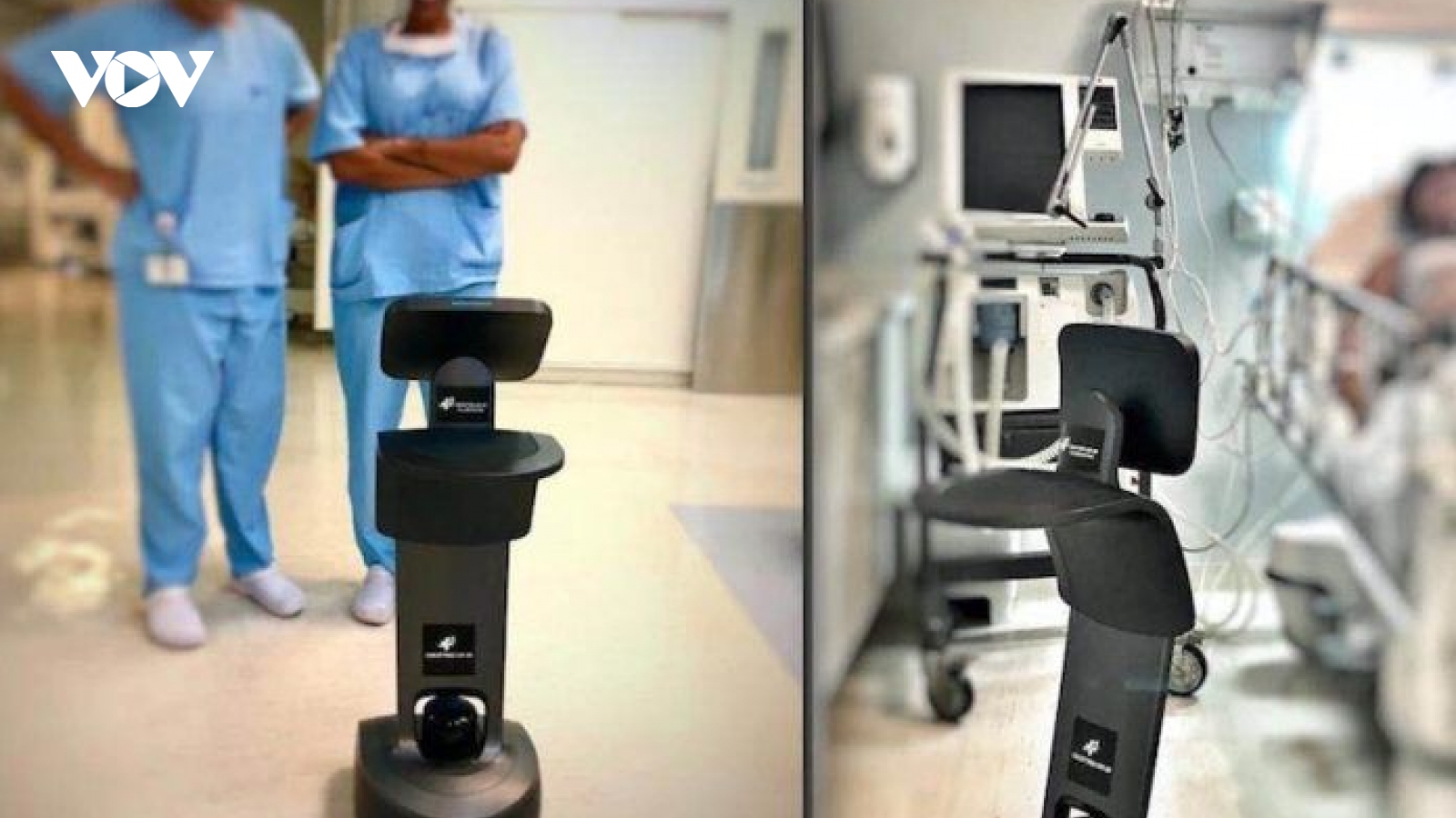 Robot Temi – trợ thủ đắc lực cho bác sĩ trong trận chiến với Covid-19