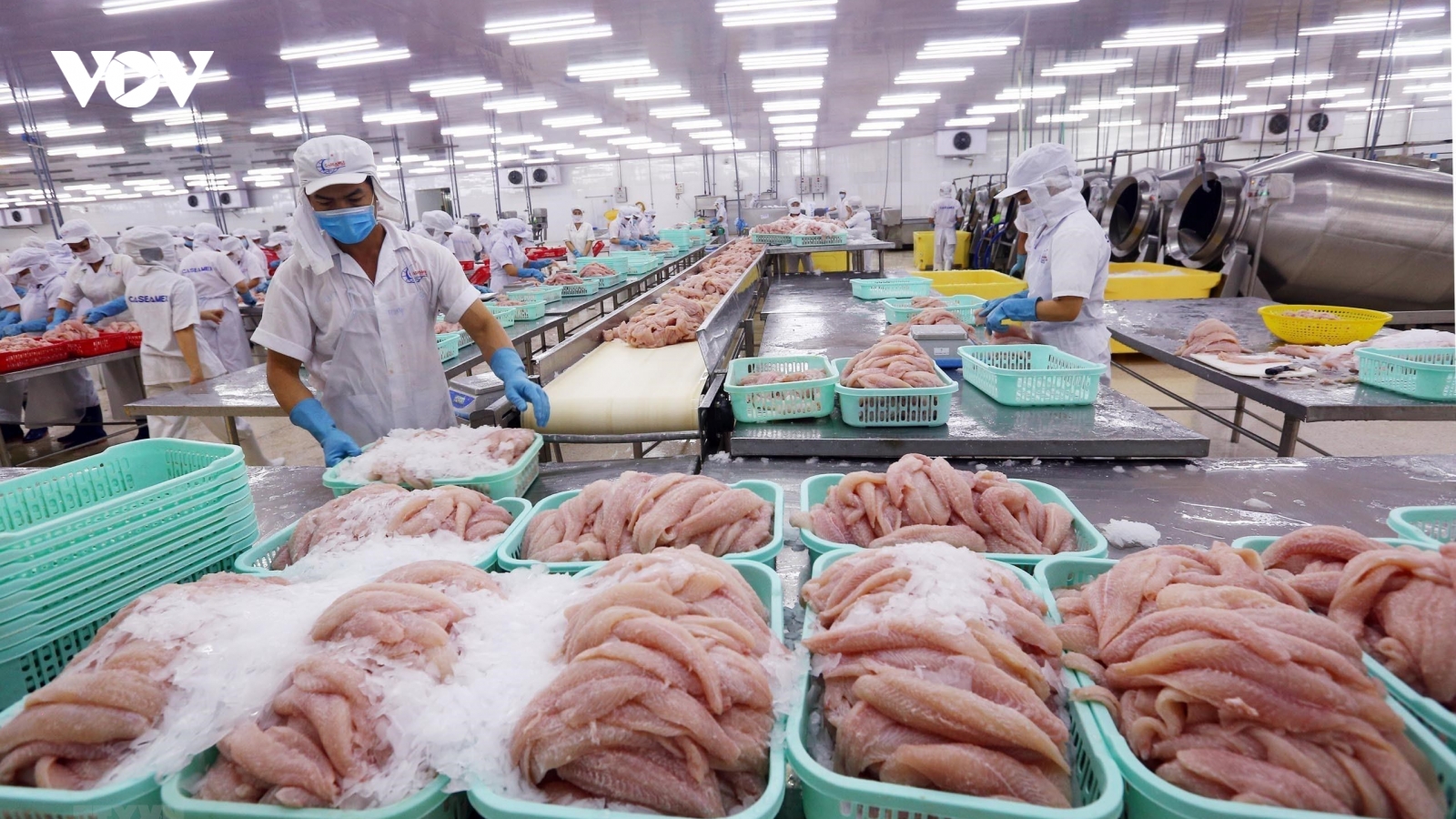Xuất khẩu thủy sản phục hồi, có thể đạt 8,3 tỷ USD năm 2020
