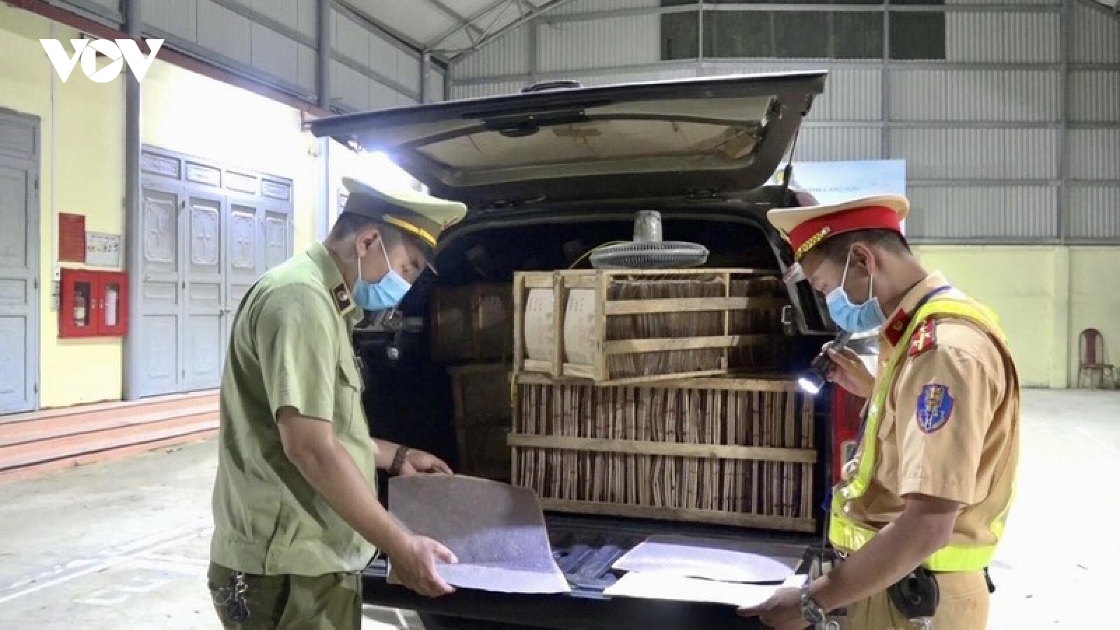 Lượng lớn trứng côn trùng không nguồn gốc xuất xứ bị thu giữ