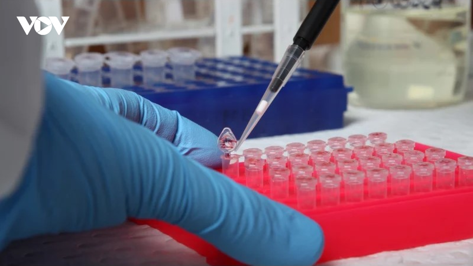 Hiệp hội Y khoa Australia kêu gọi chính phủ cẩn trọng với vaccine Covid-19