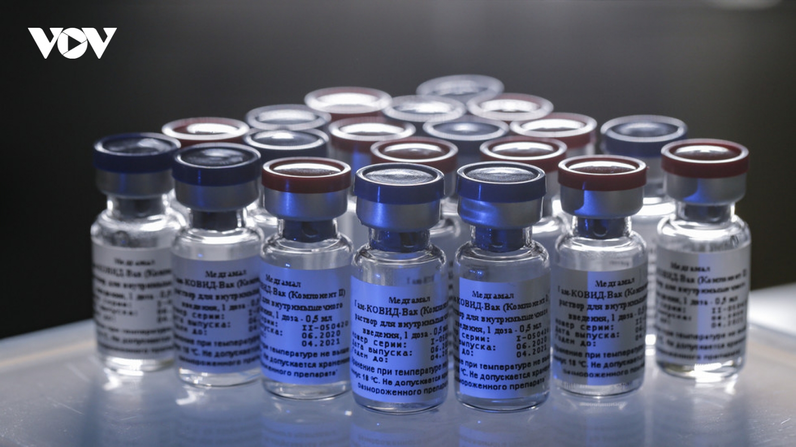 Nhật Bản tiêm vaccine ngừa Covid-19 miễn phí cho người dân