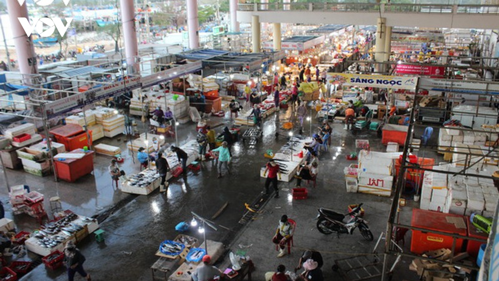 Chợ đầu mối thủy sản Đà Nẵng tạm thời không cho người dân vào chợ mua hàng lẻ