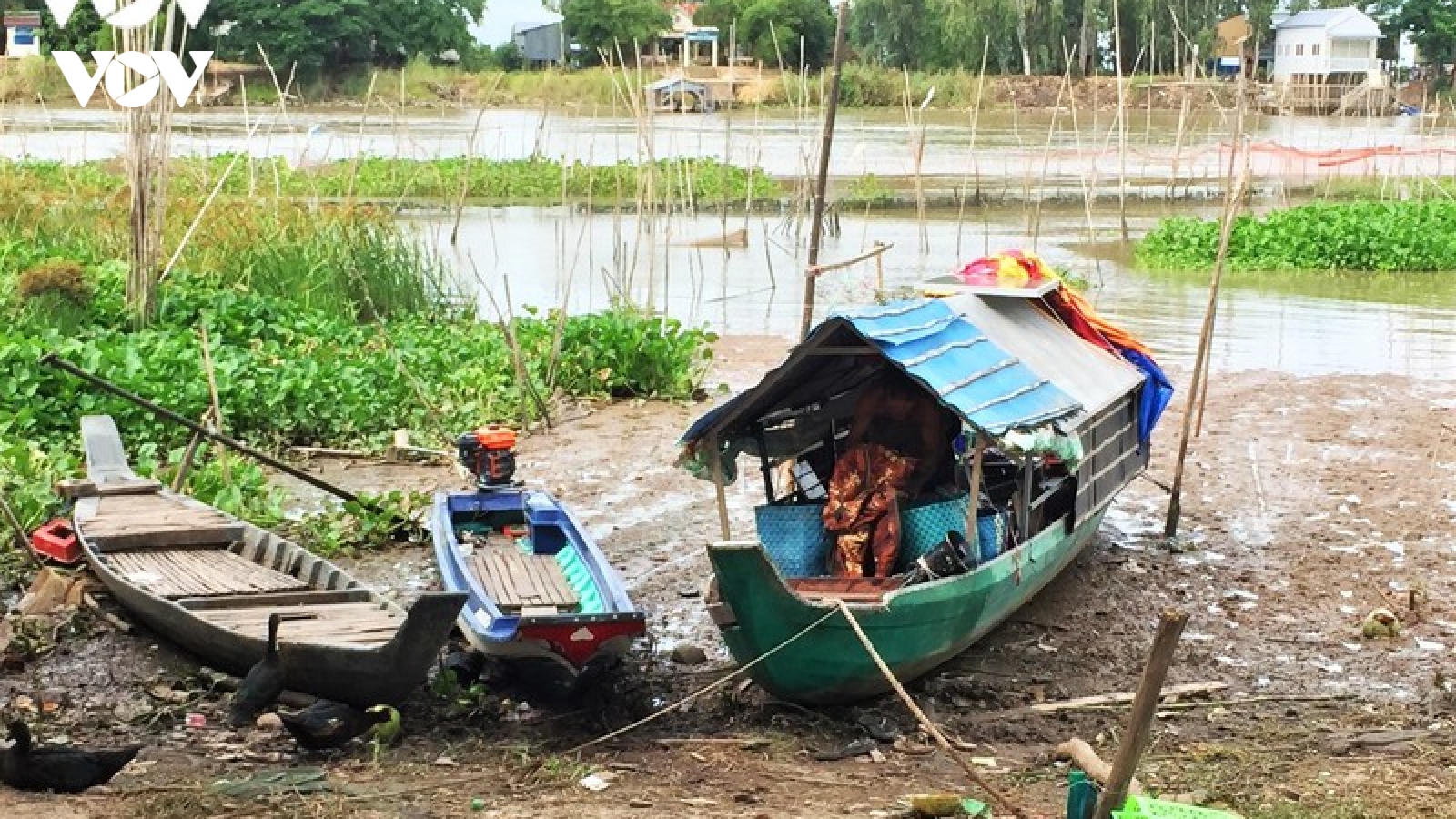 Người dân An Giang ngóng mùa nước nổi để mưu sinh
