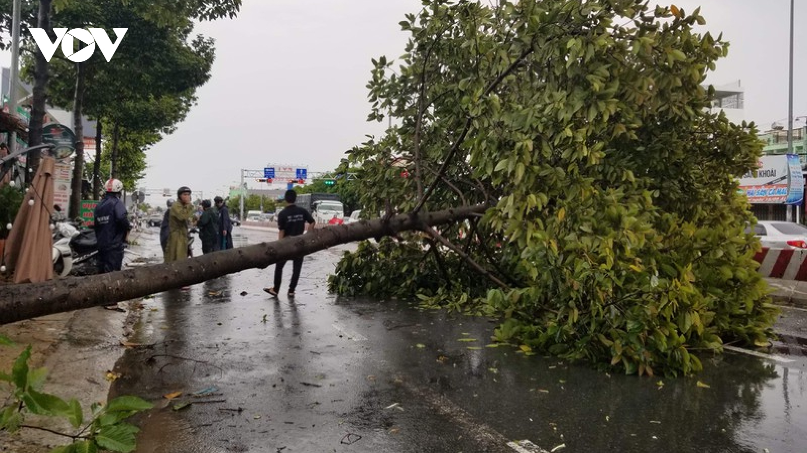 ​Nhà tốc mái, cây xanh đổ sau trận mưa lớn kèm gió mạnh tại Cần Thơ