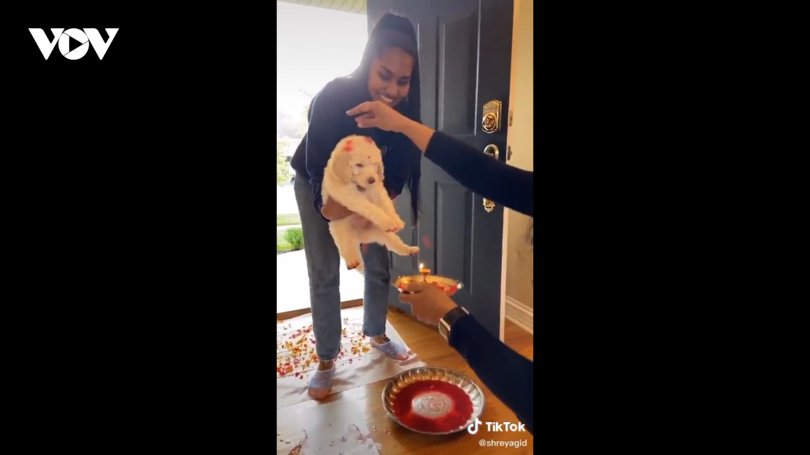 Video: Ngộ nghĩnh gia đình Ấn Độ chào đón cún cưng theo nghi lễ dành cho cô dâu