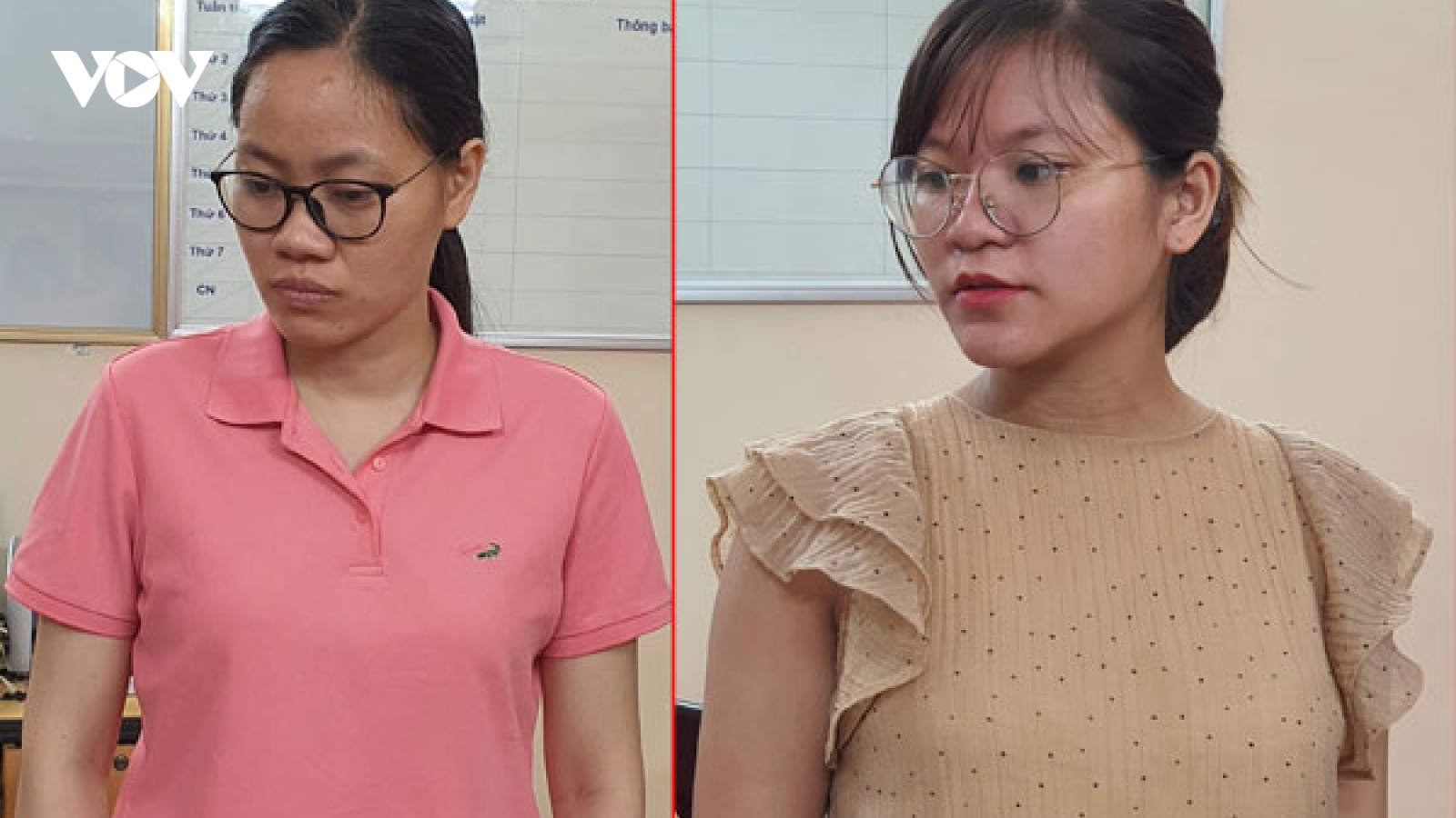 Khởi tố 2 phụ nữ tổ chức mang thai hộ vì mục đích thương mại