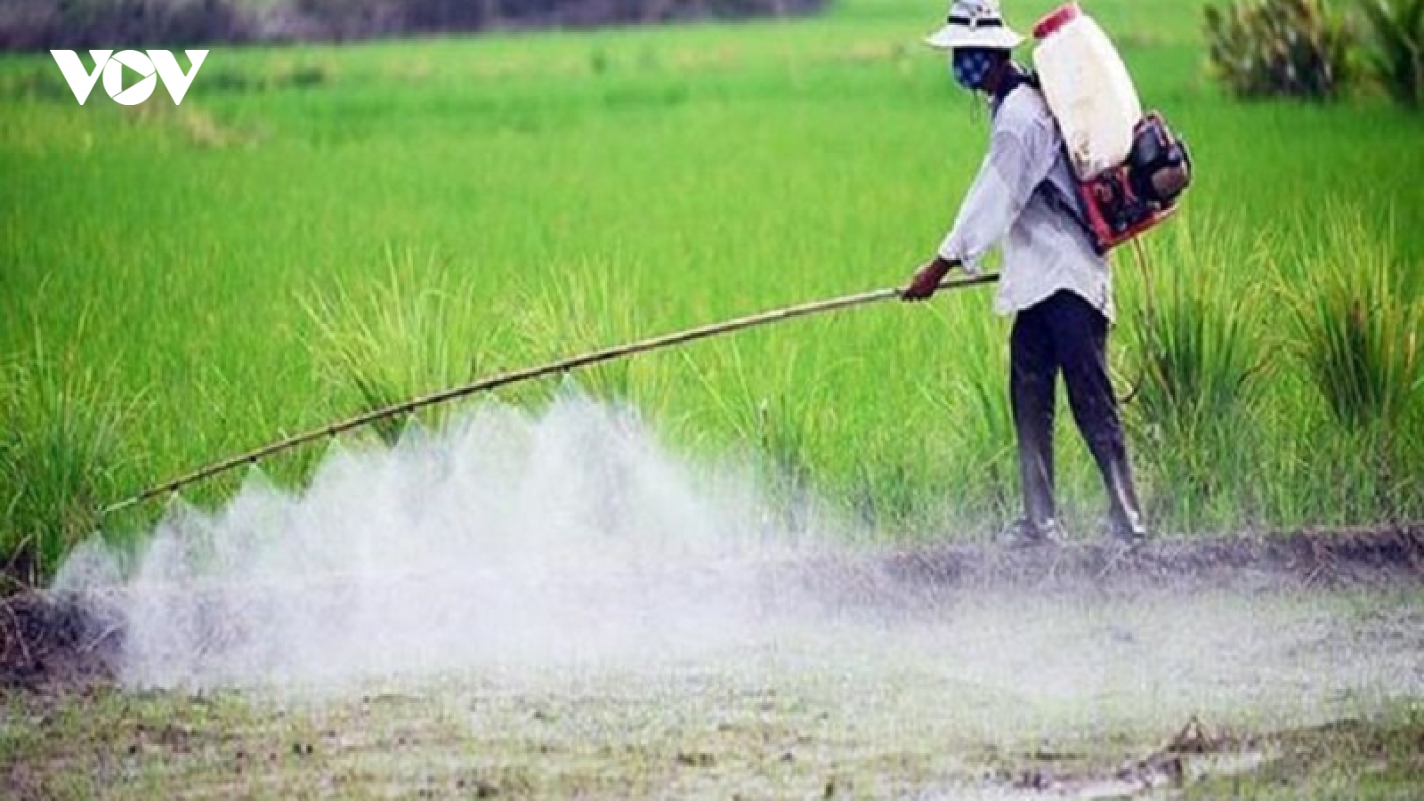 Bất thường việc nhiều thai nhi không được chào đời