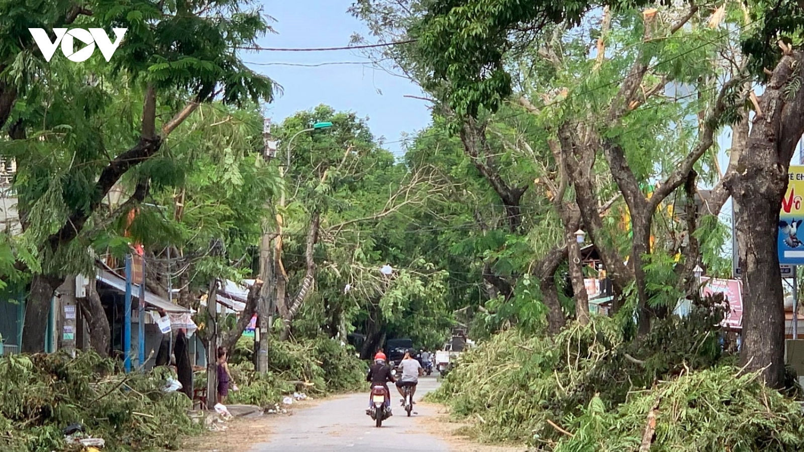 Bị cây gãy do bão đè trúng, chuyên viên phòng giáo dục tử vong 