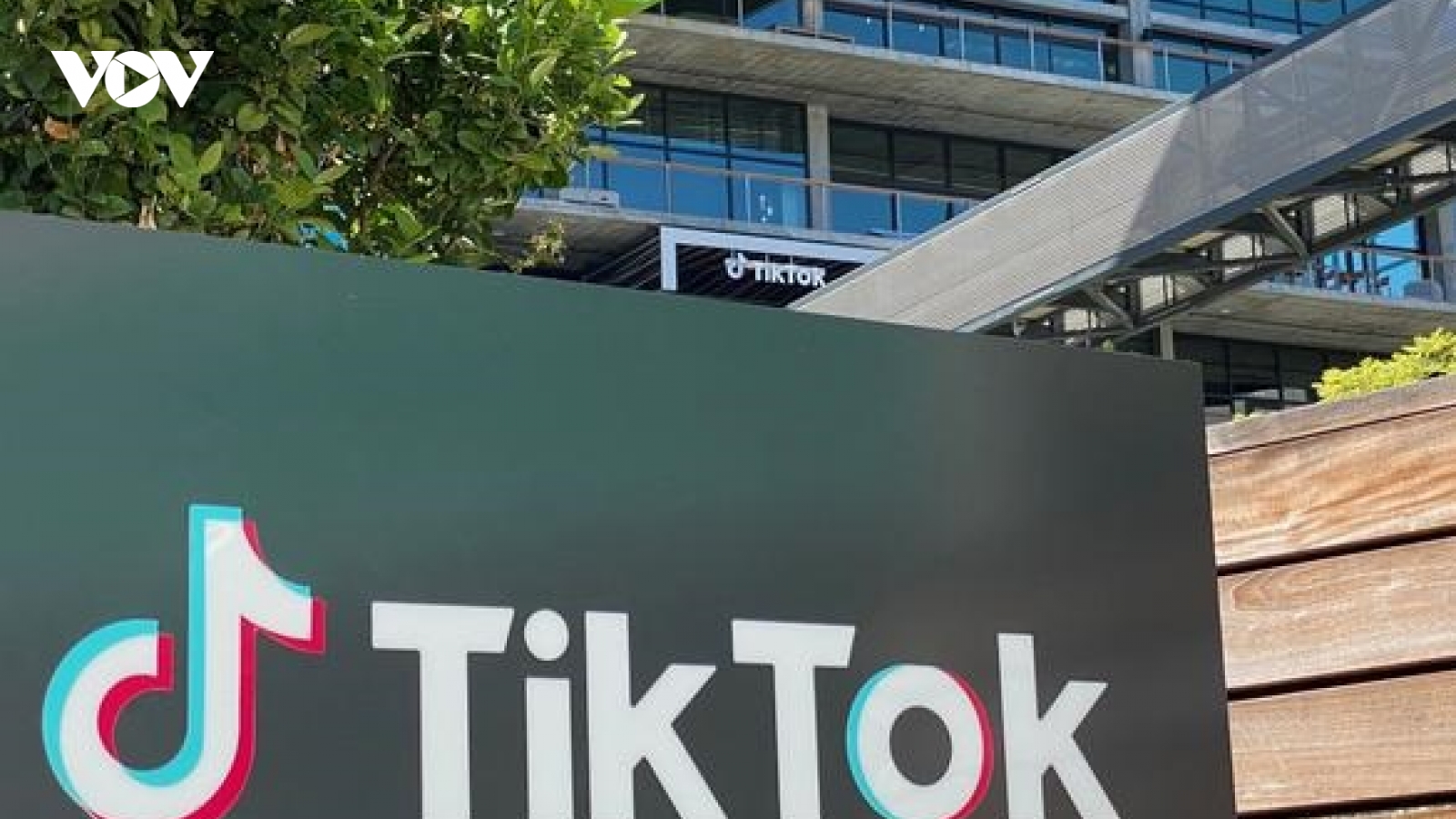 Albania cấm TikTok 1 năm do lo ngại mạng xã hội cổ xúy bạo lực trong giới trẻ