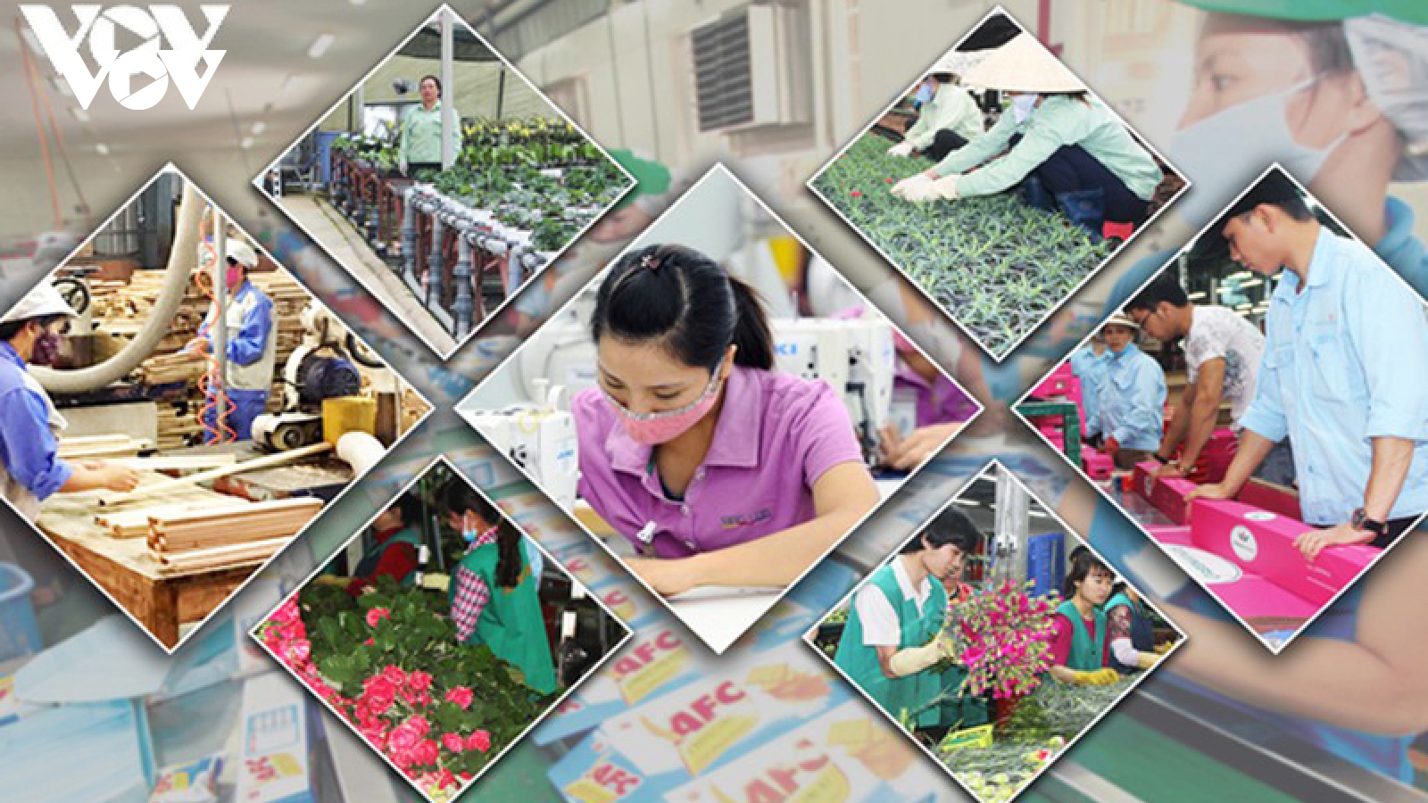COVID-19 & Growth scenarios for Vietnam 
