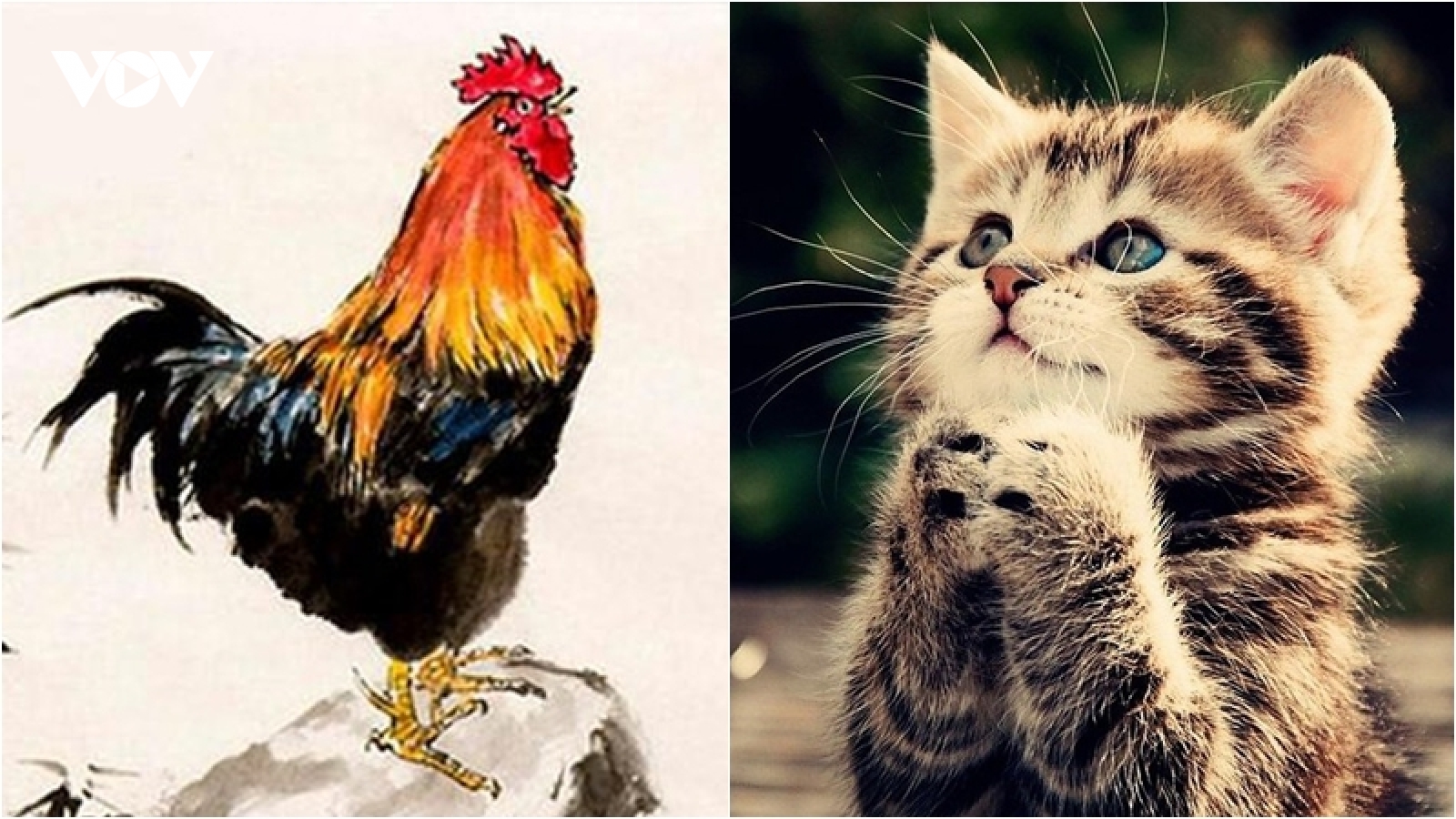 3 con giáp trong tháng 10 được Thần Phật che chở, mưa vàng lũ bạc 'đổ ập' vào tài vận
