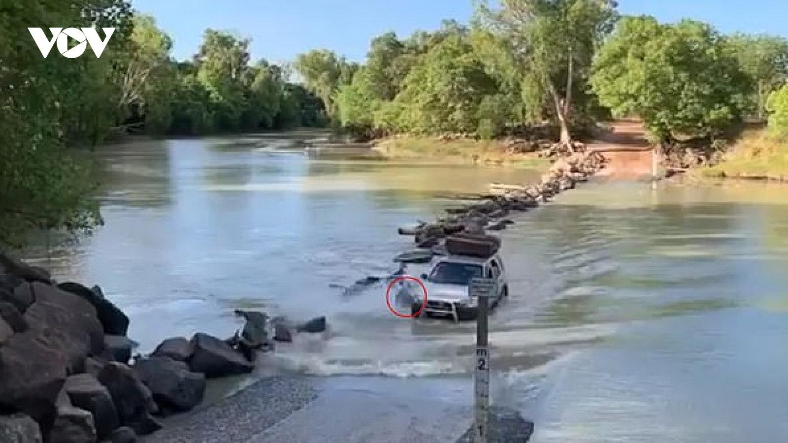 Tài xế vô tình “cán” qua cá sấu ở “khúc sông tử thần” Cahills Crossing (Australia)