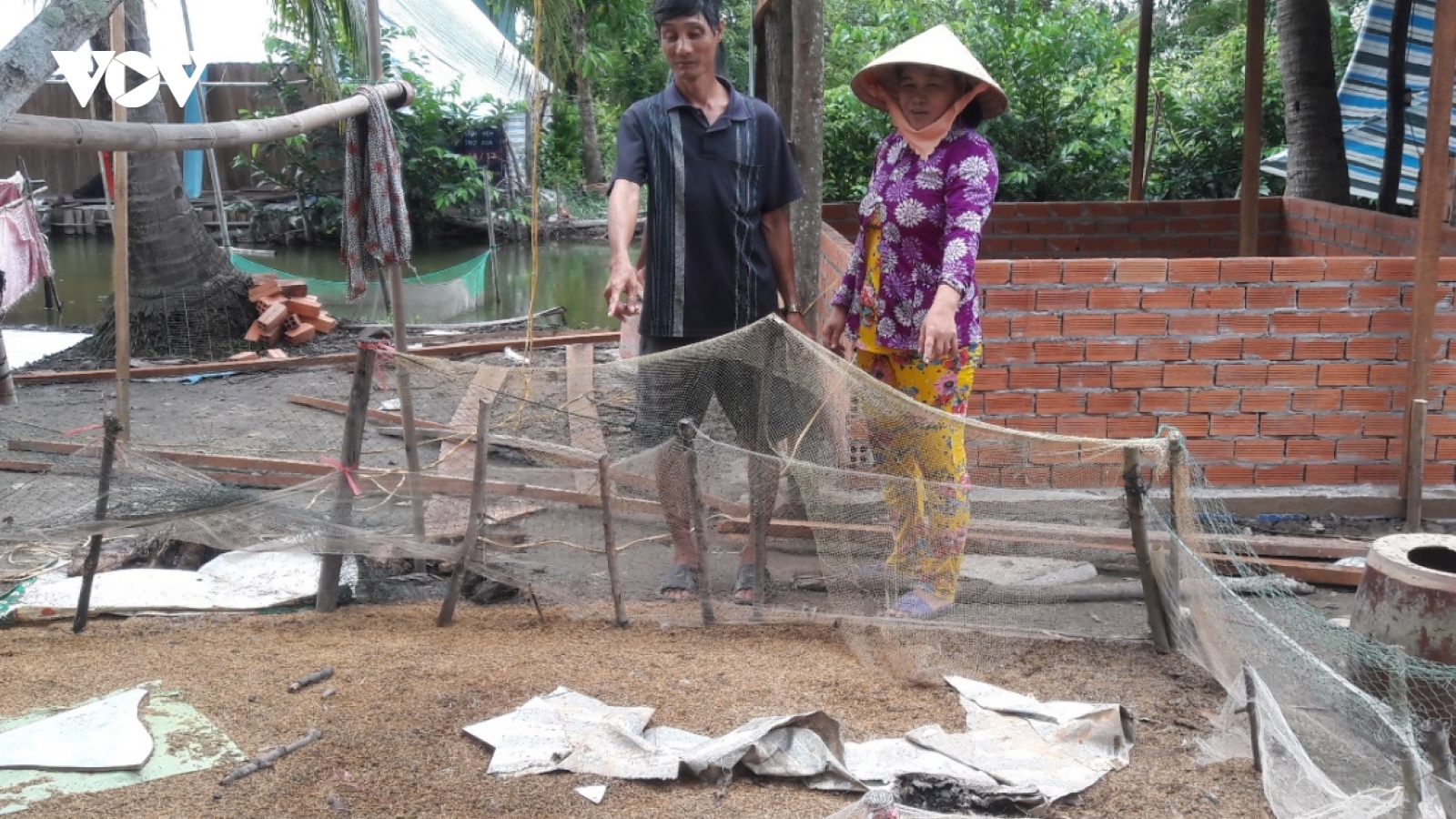 Cẩn trọng với ổ dịch H5N1 mới xuất hiện ở Cà Mau