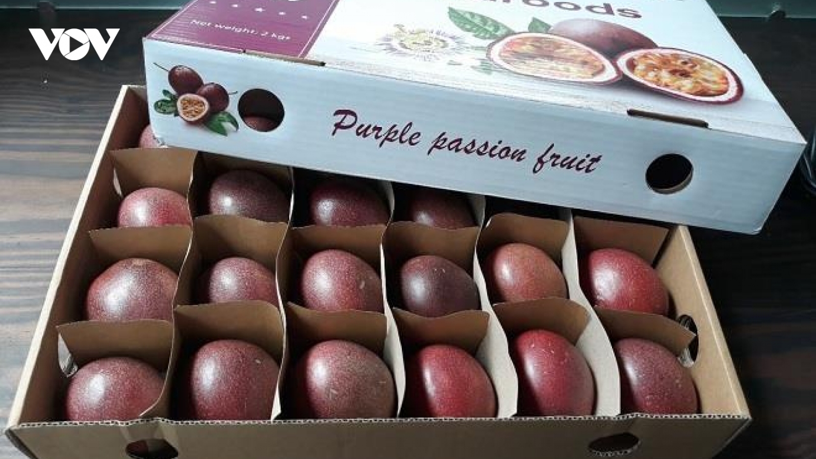 Trái cây Việt bắt đầu xuất sang EU sau EVFTA, thuế suất ưu đãi chưa từng có