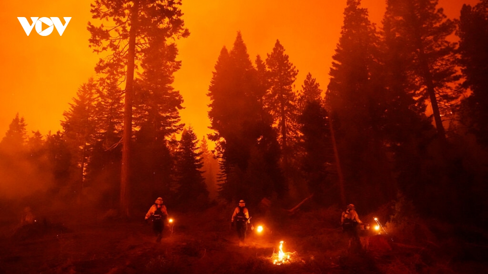 Cháy rừng tại California khiến ít nhất 3 người thiệt mạng