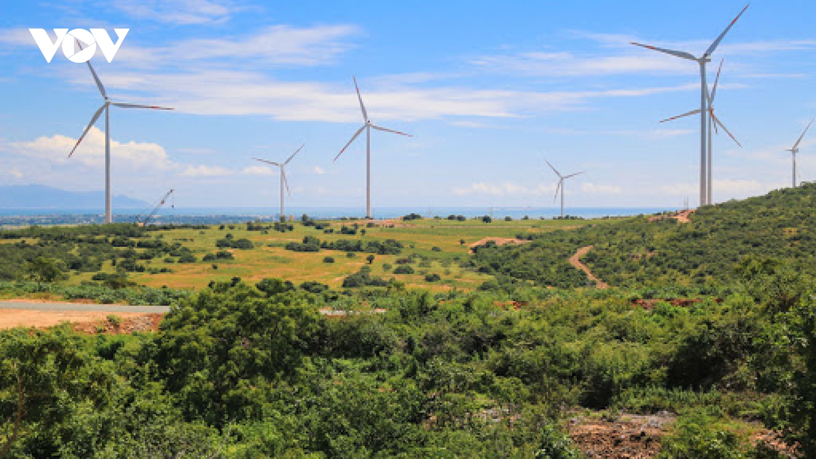 Đắk Nông xây dựng, phát triển 6 dự án điện gió