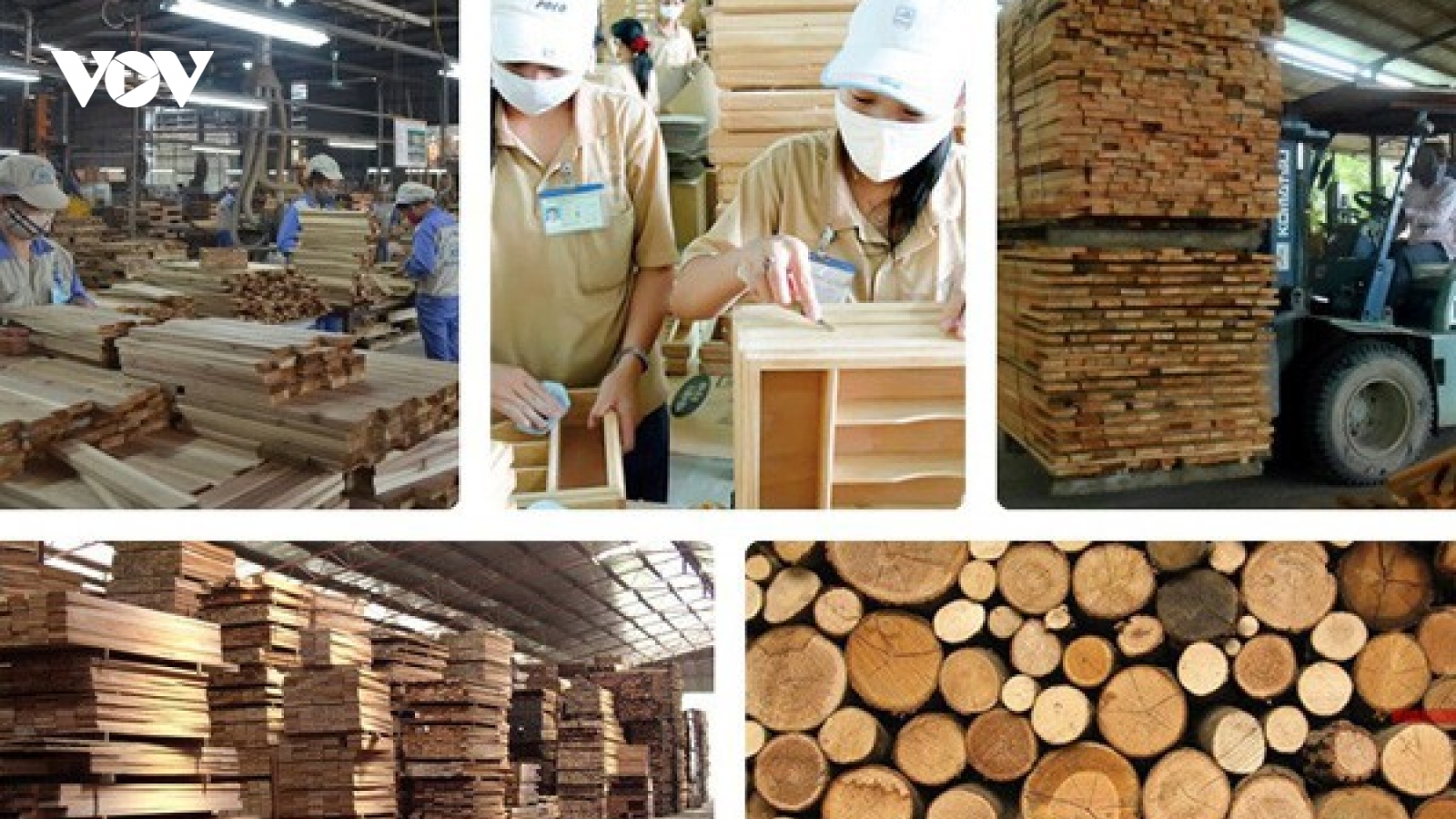 Ngành gỗ và lâm sản tái cơ cấu ứng phó với tình hình mới
