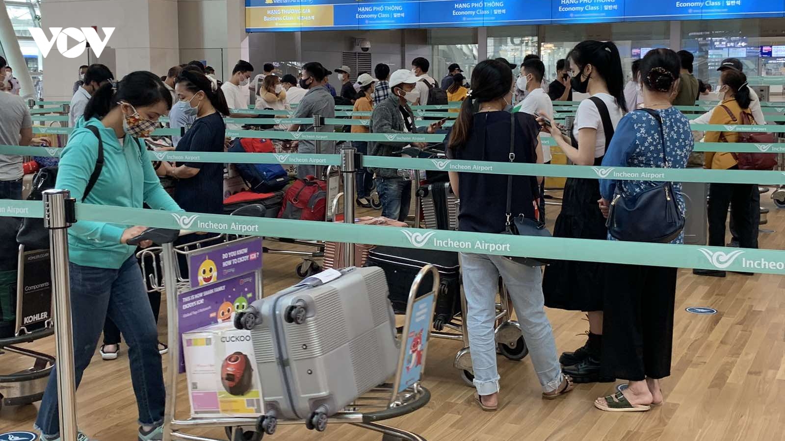 2 chuyến bay đưa gần 380 người Việt Nam về từ Hàn Quốc hạ cánh ở Cam Ranh