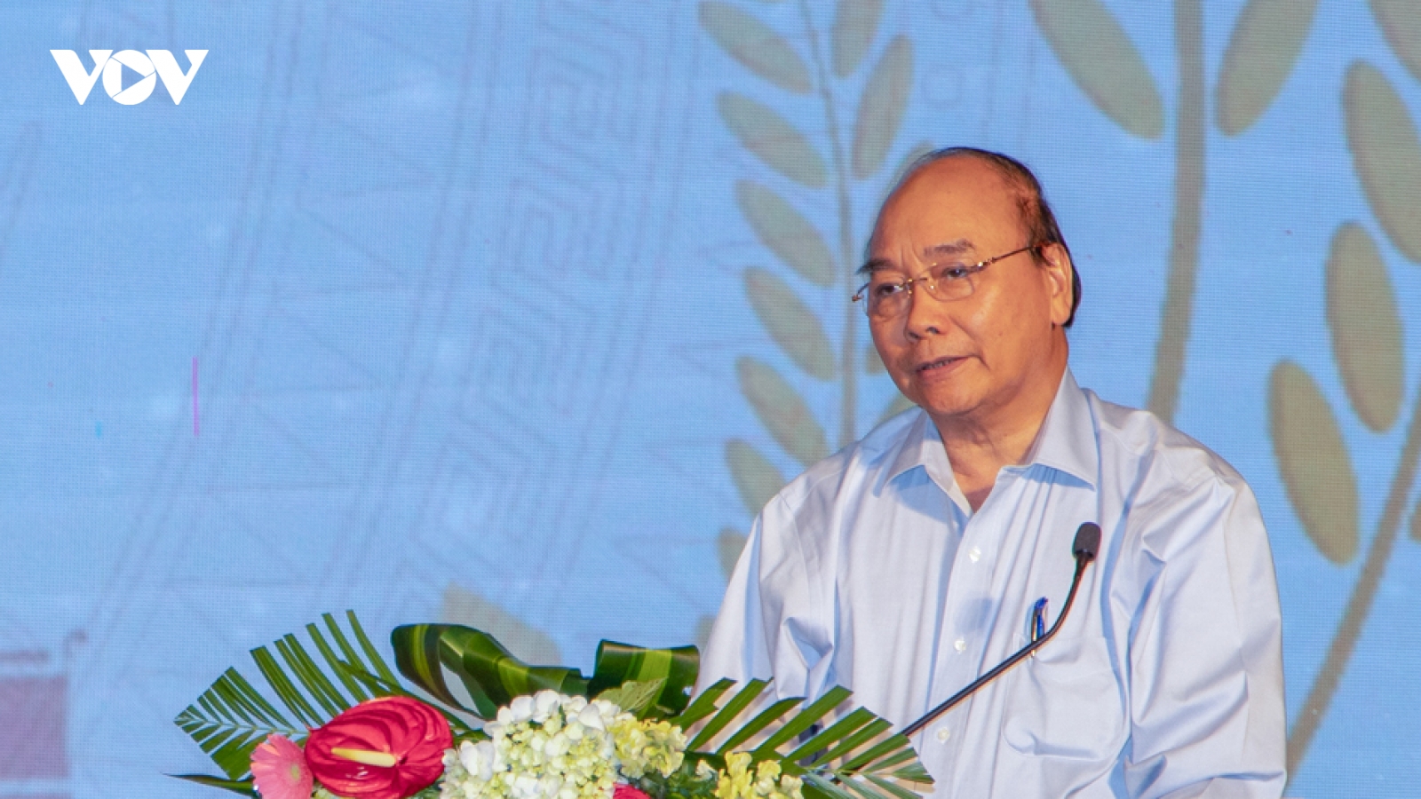 Thủ tướng: "Phải trả lời cho được diện tích cây mắc ca bao nhiêu là phù hợp"