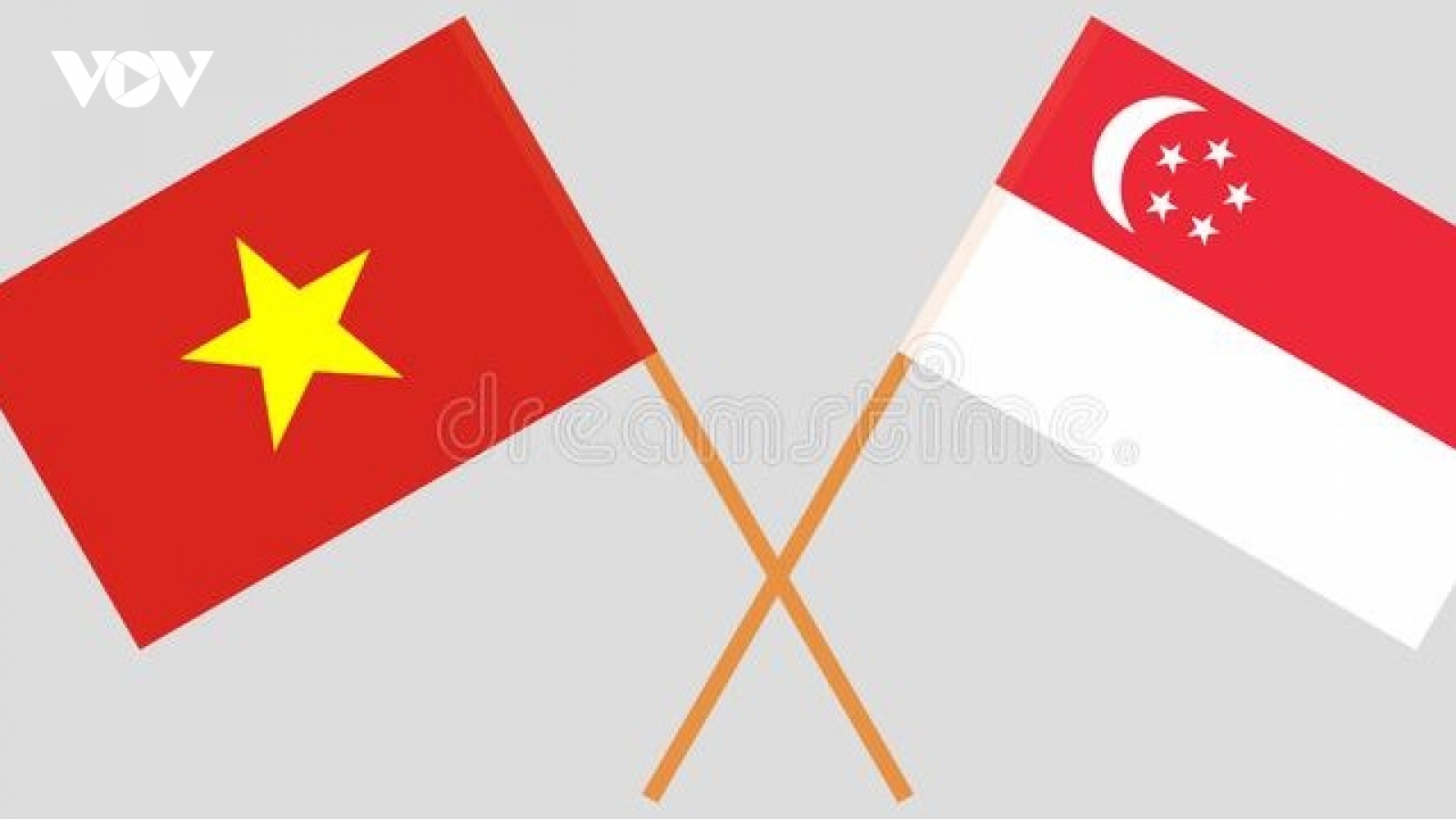 Đưa hơn 240 công dân Việt Nam từ Singapore về nước