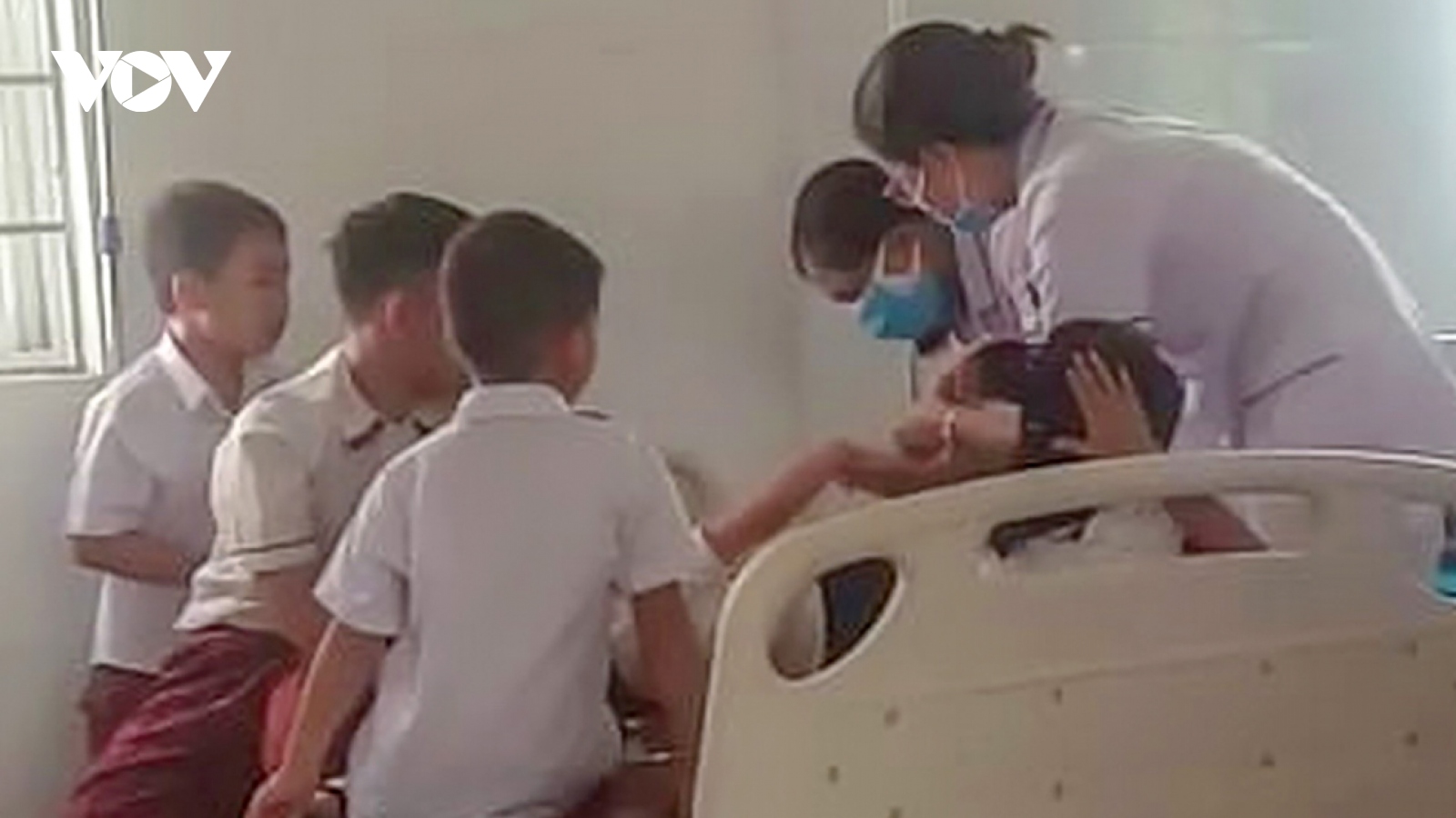 Hàng chục học sinh tiểu học ở Quảng Trị nhập viện vì bị ong đốt