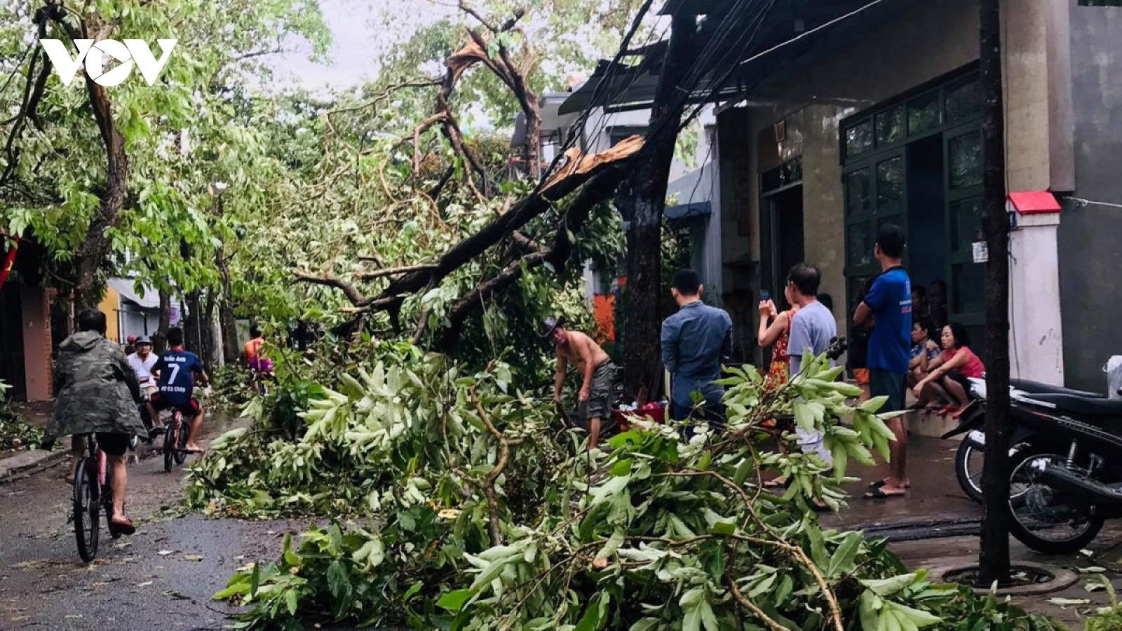 Bão số 5 gây thiệt hại nặng ở các tỉnh miền Trung